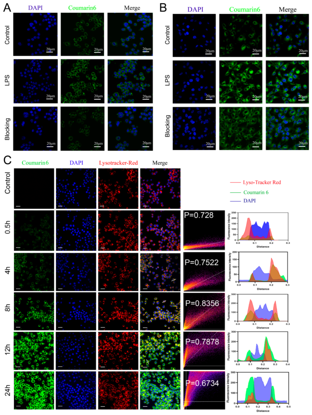 Pharmaceutics 15 02435 g004