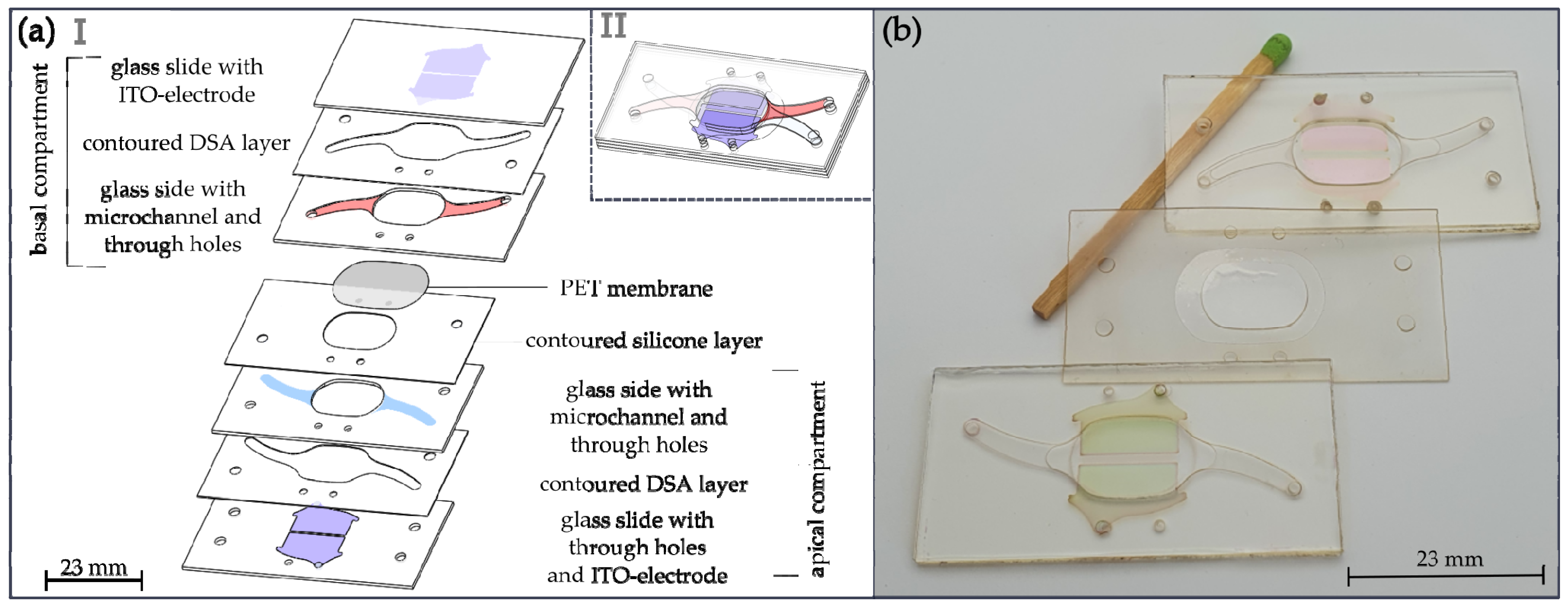 Pharmaceutics 15 02439 g002