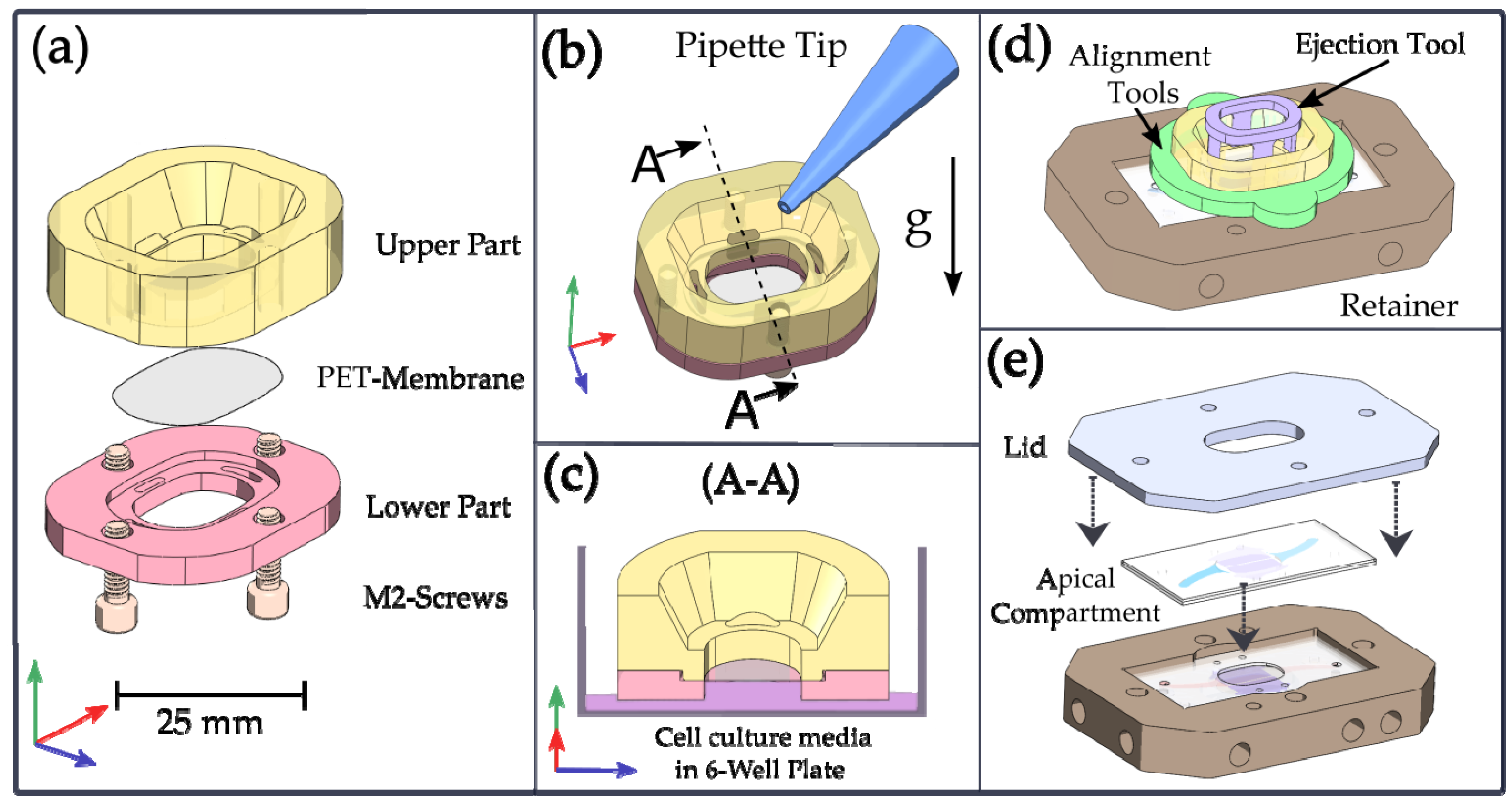 Pharmaceutics 15 02439 g003
