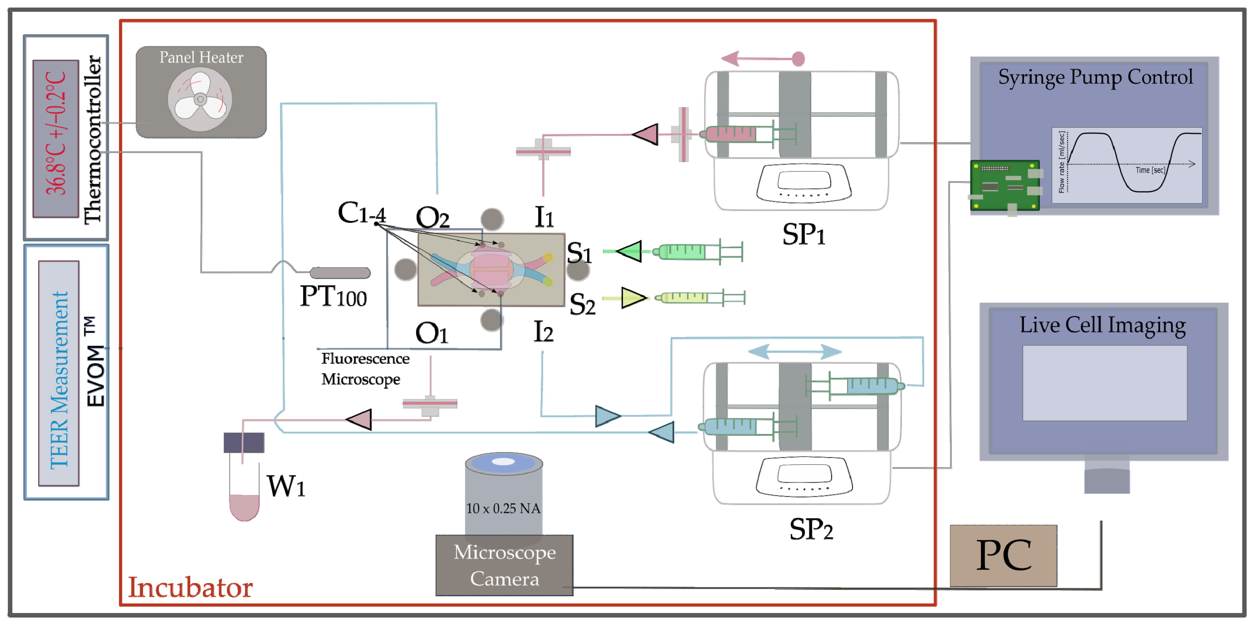 Pharmaceutics 15 02439 g004