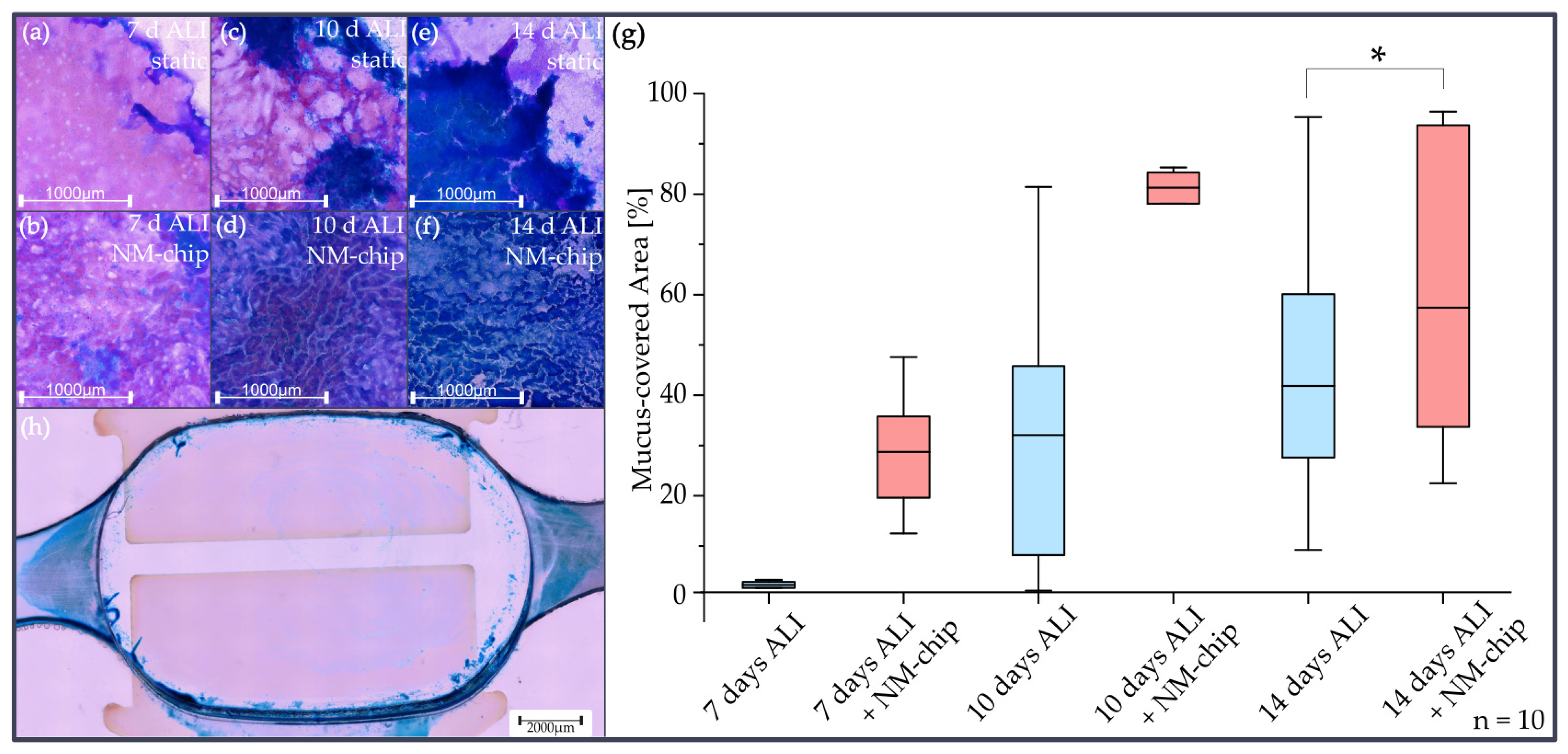 Pharmaceutics 15 02439 g006