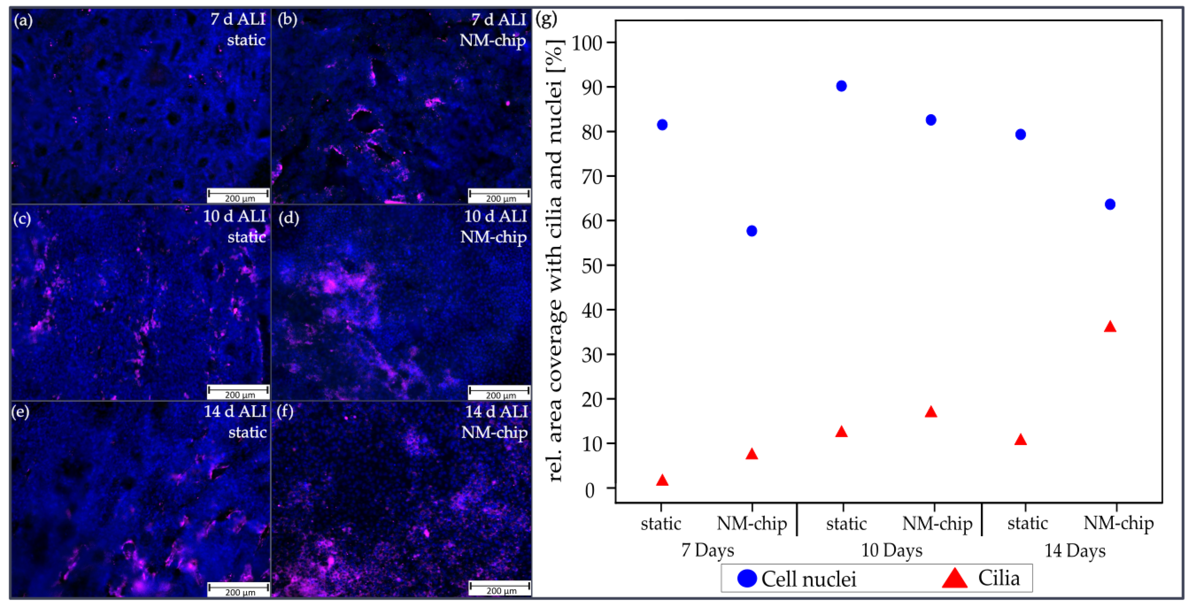 Pharmaceutics 15 02439 g007