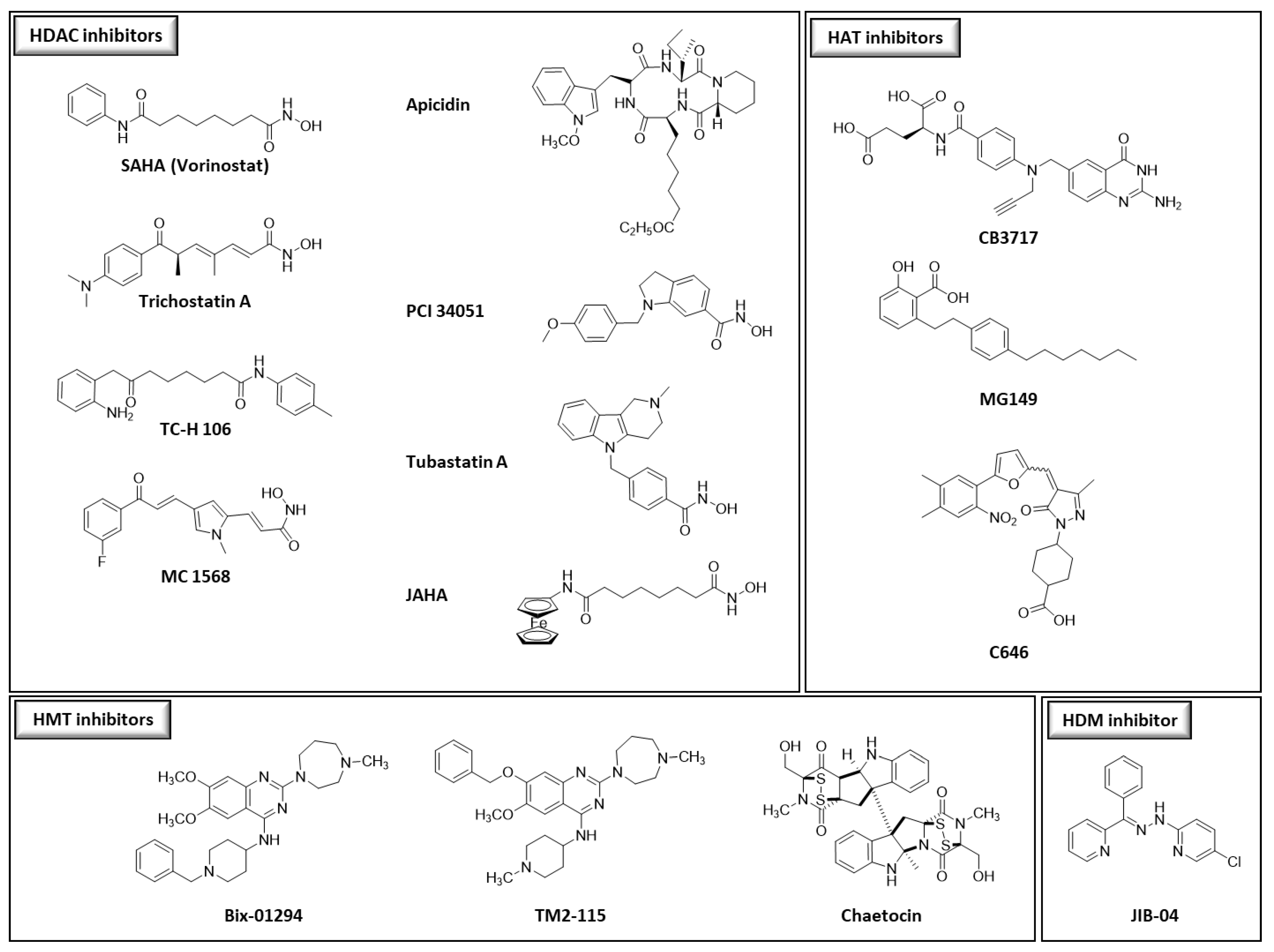 Pharmaceutics 15 02440 g001a