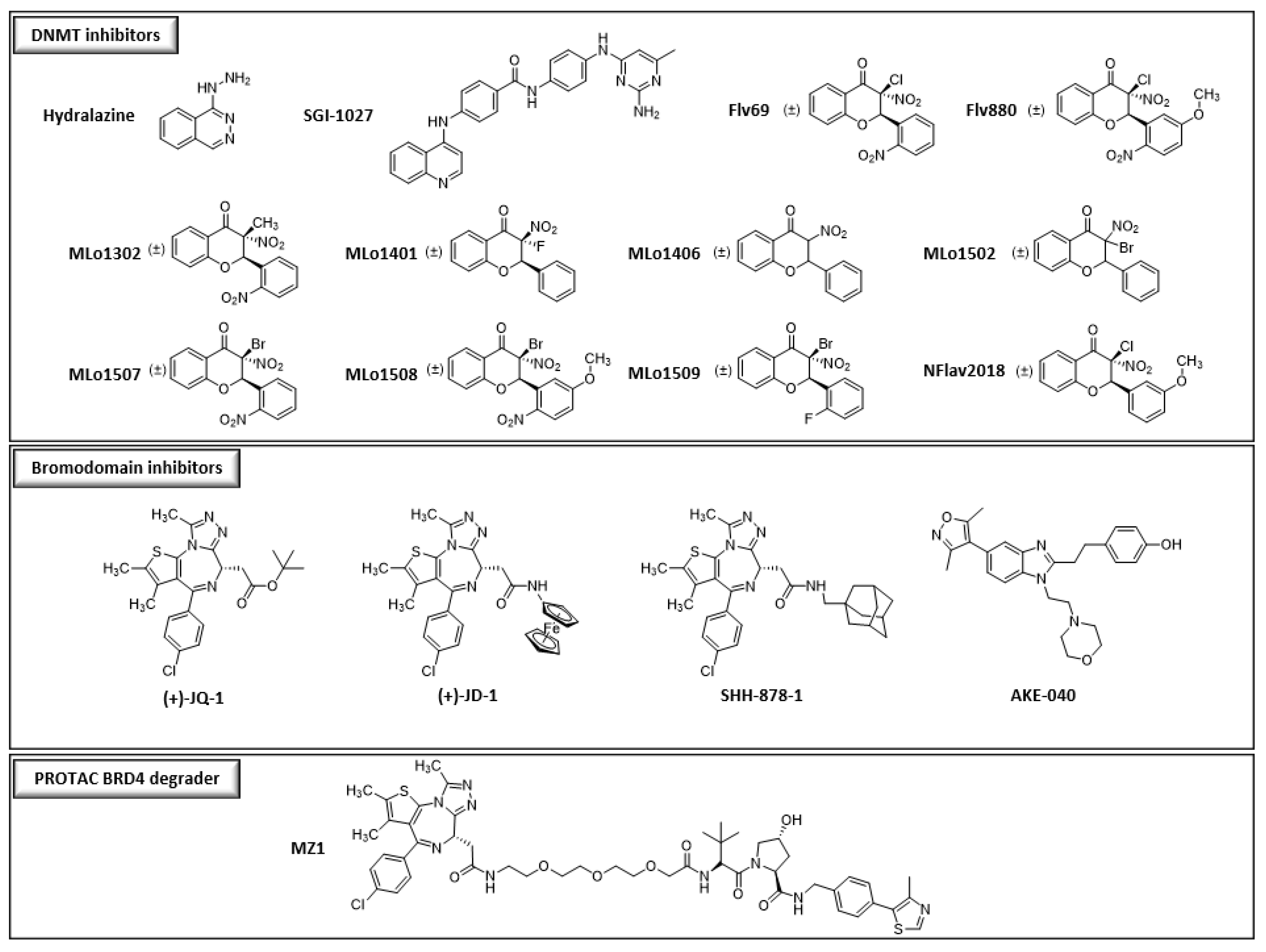 Pharmaceutics 15 02440 g001b