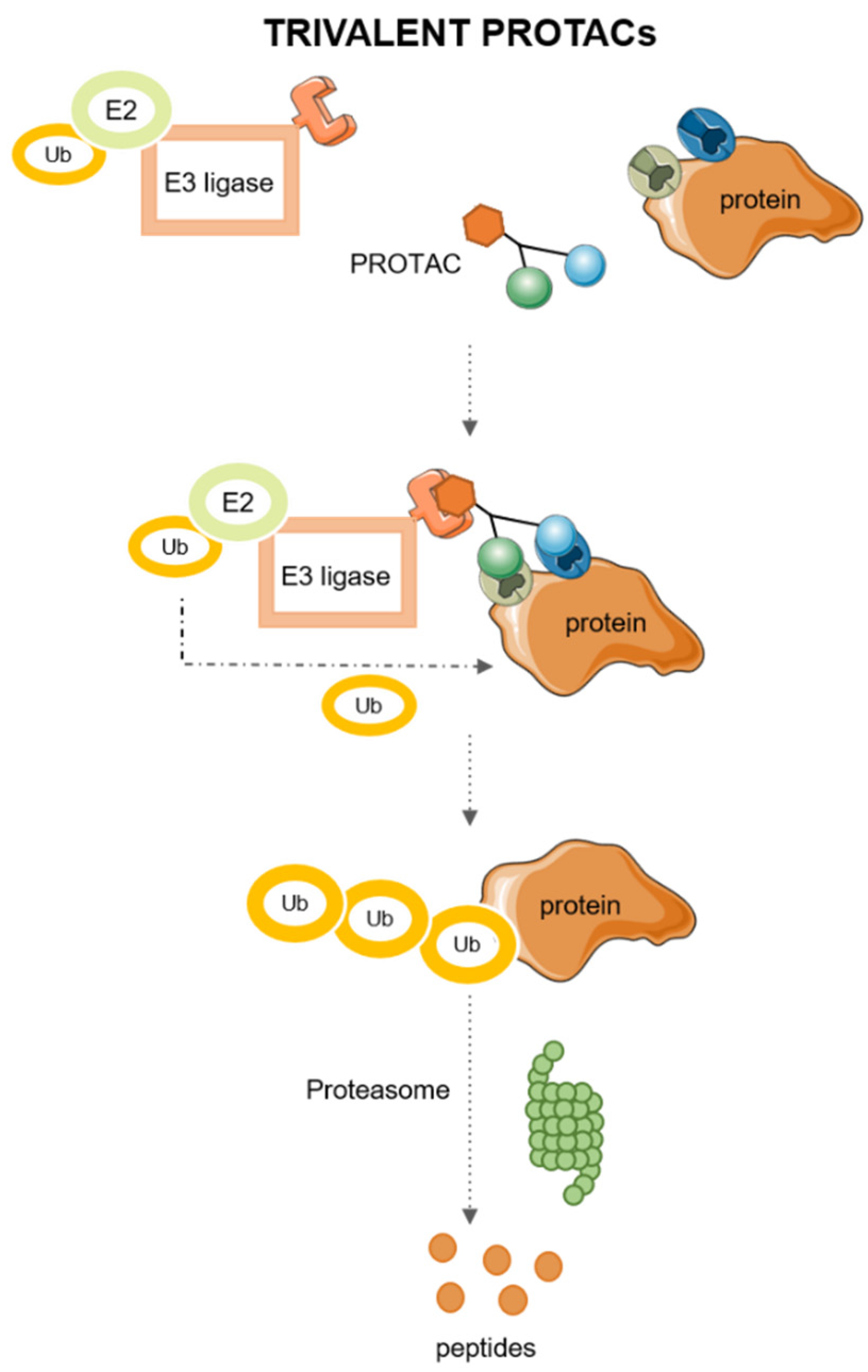 Pharmaceutics 15 02442 g003
