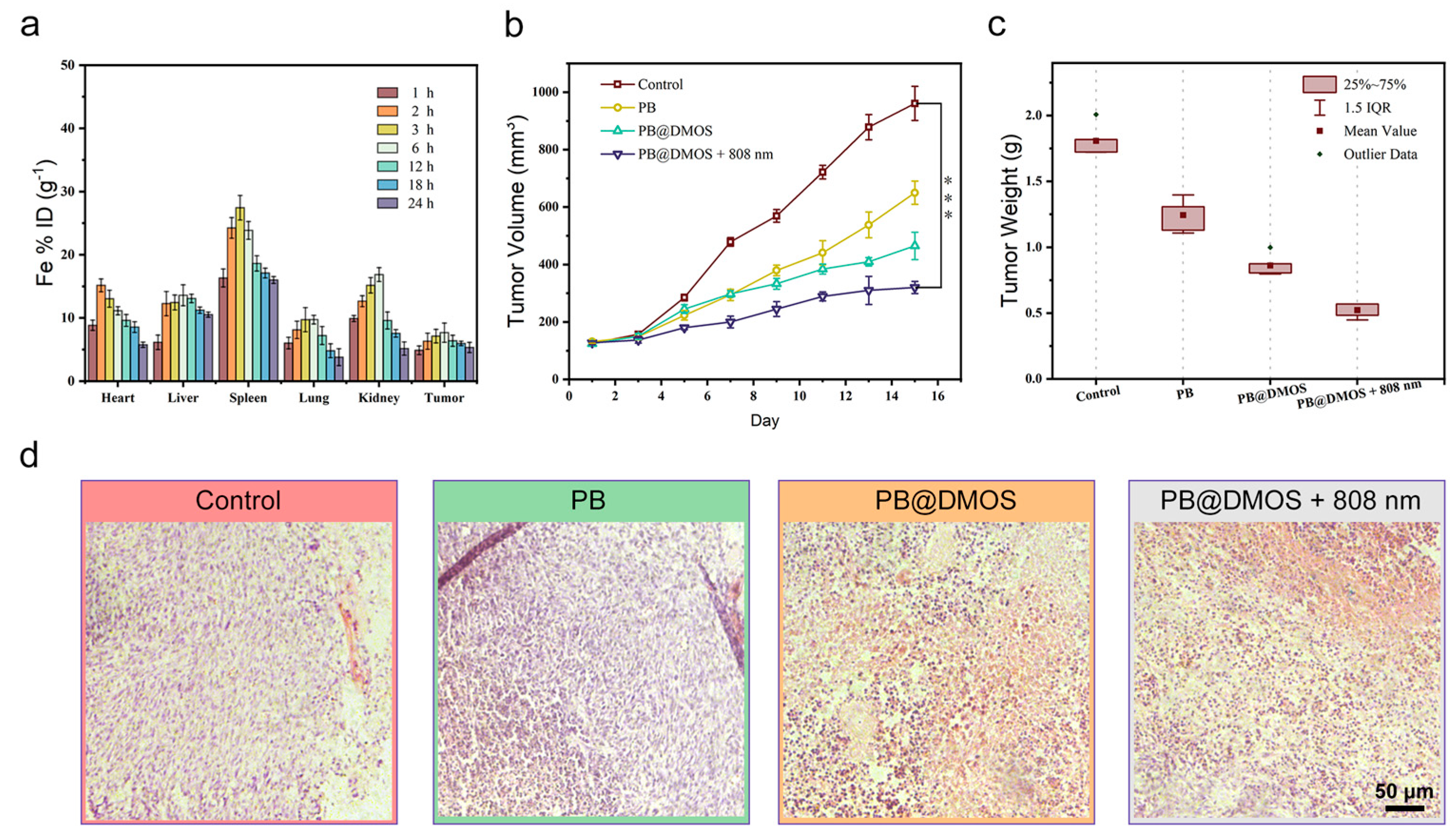 Pharmaceutics 15 02443 g005