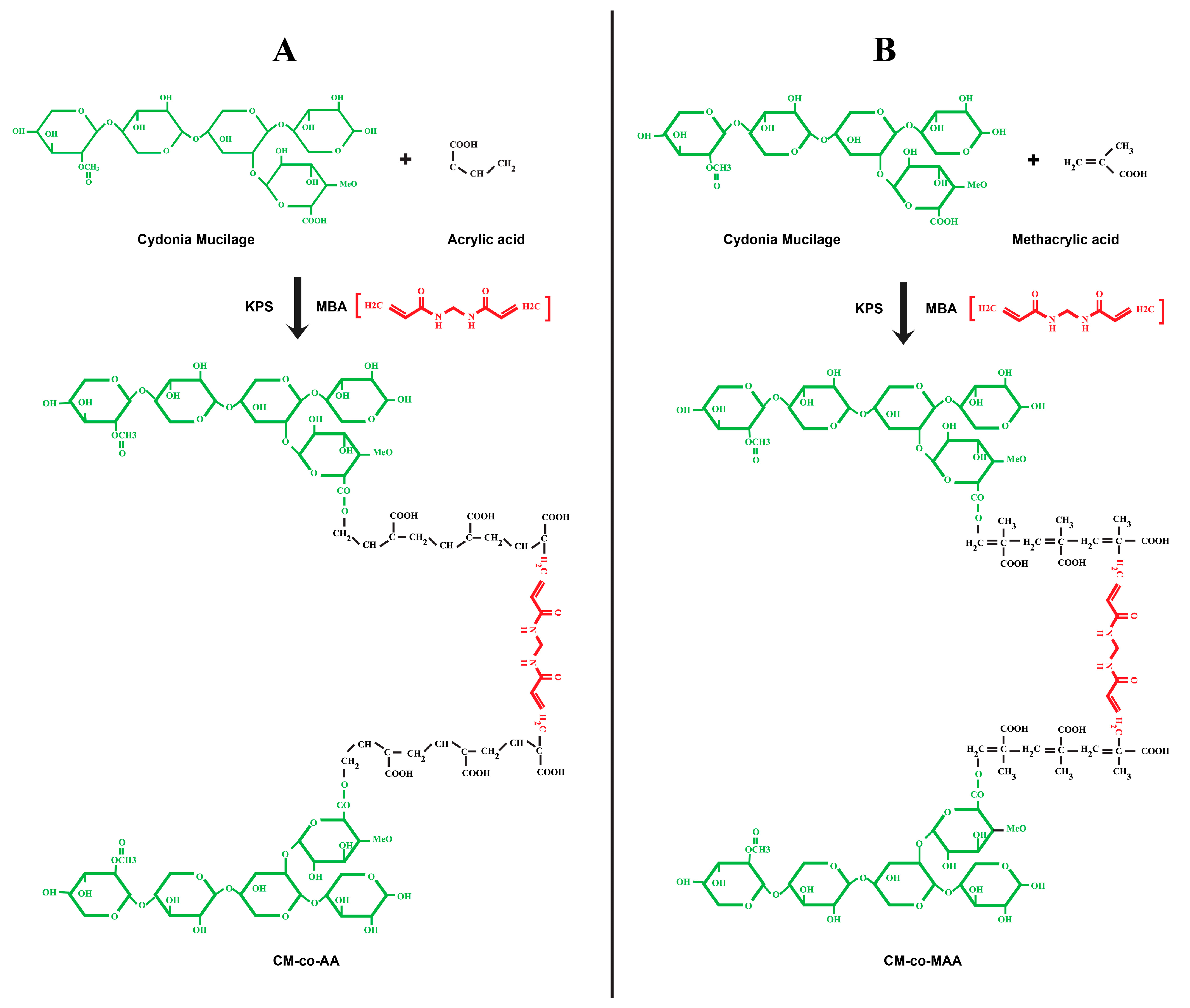 Pharmaceutics 15 02445 g001