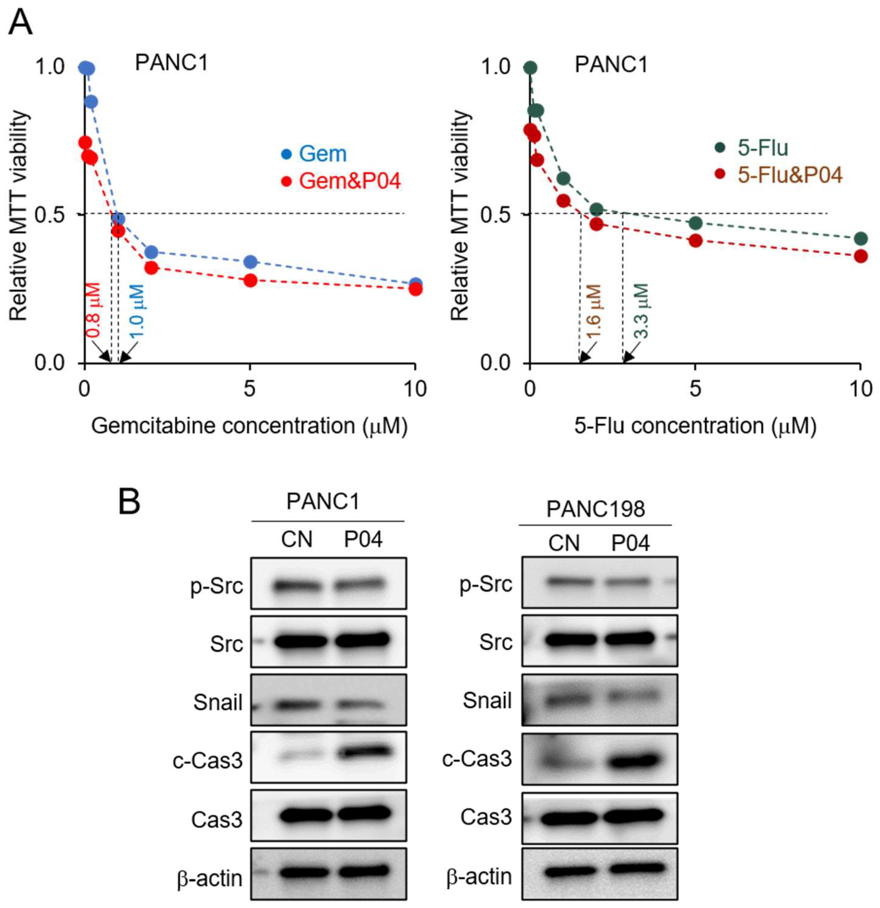 Pharmaceutics 15 02447 g003