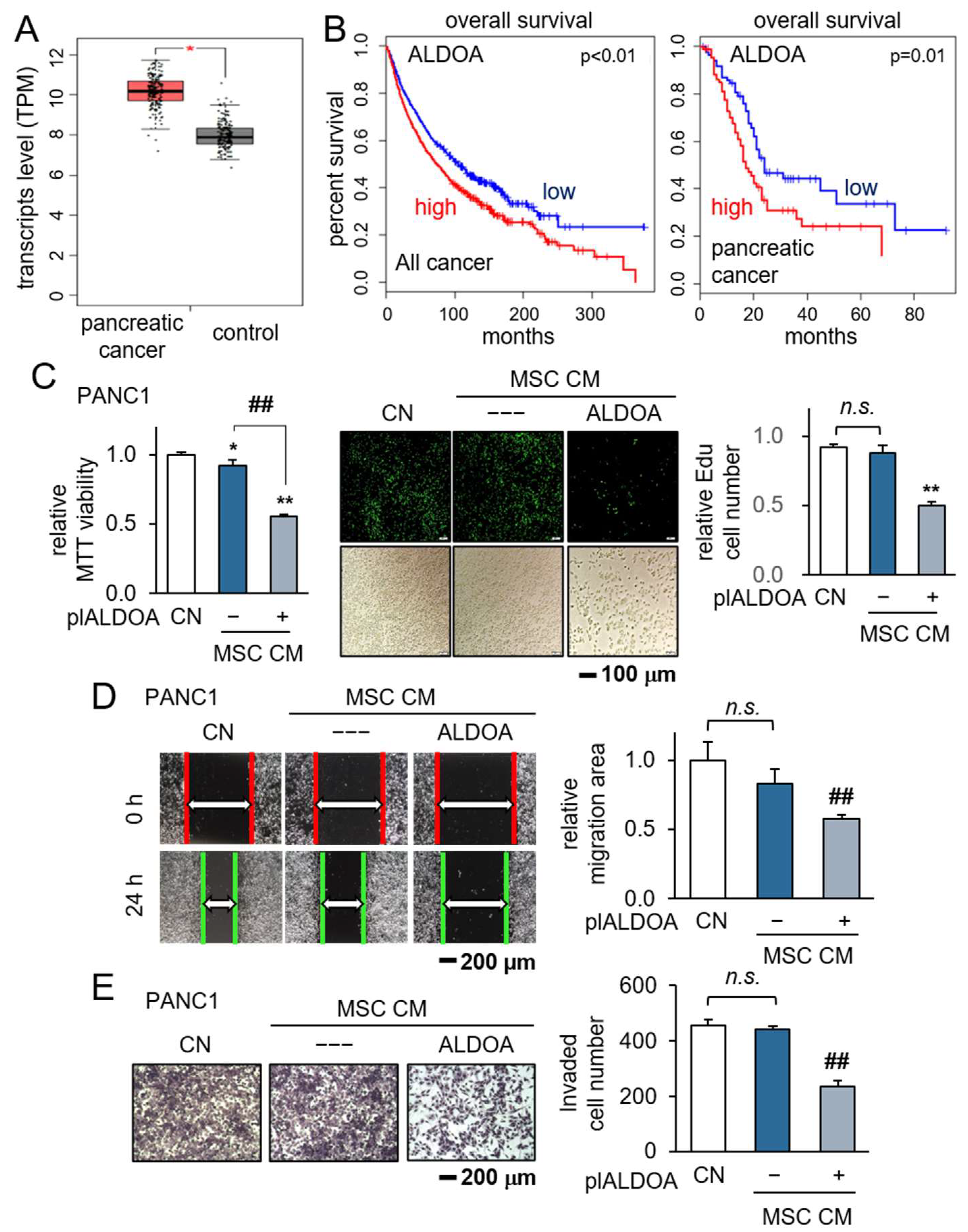 Pharmaceutics 15 02447 g004