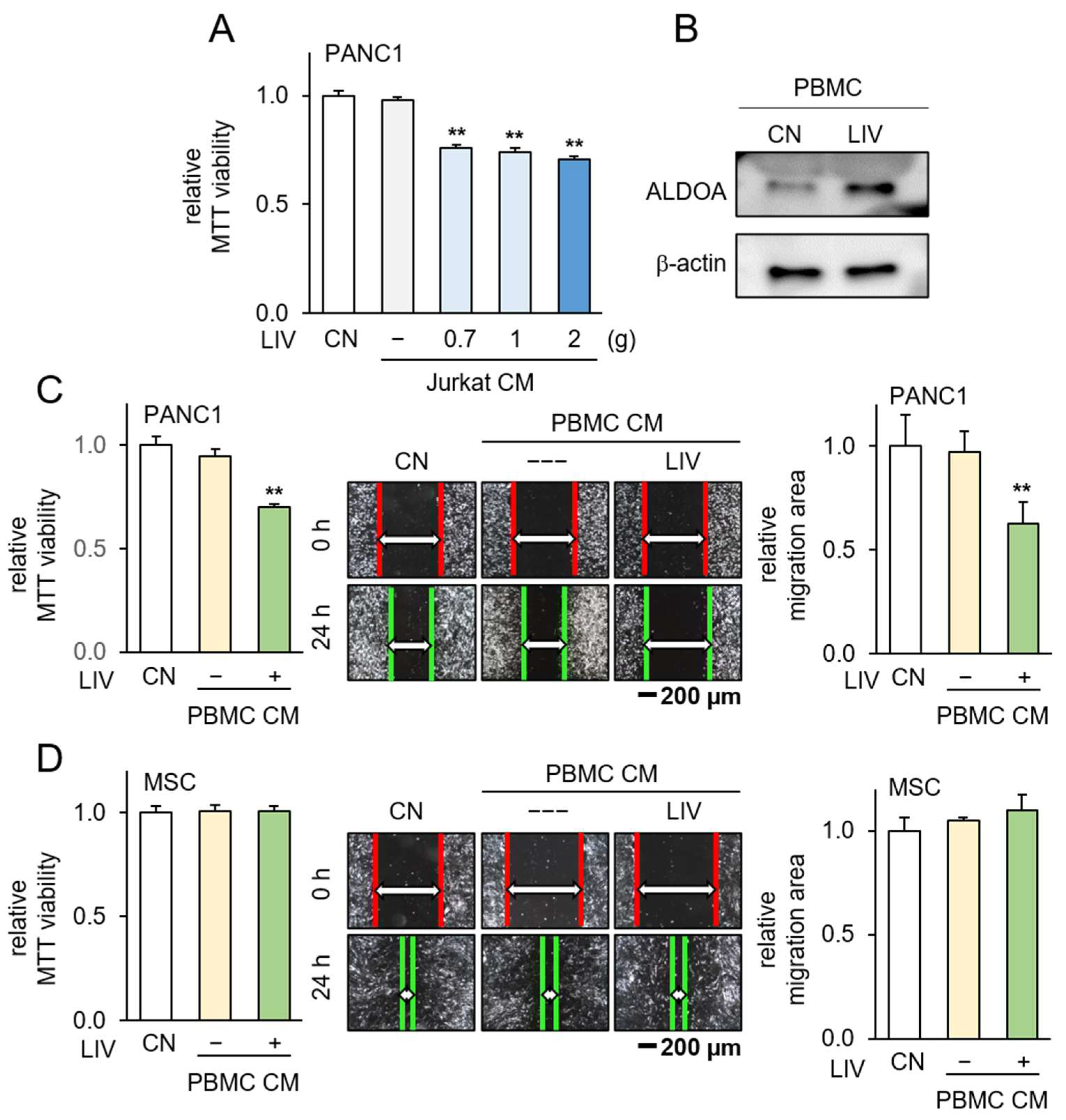 Pharmaceutics 15 02447 g007