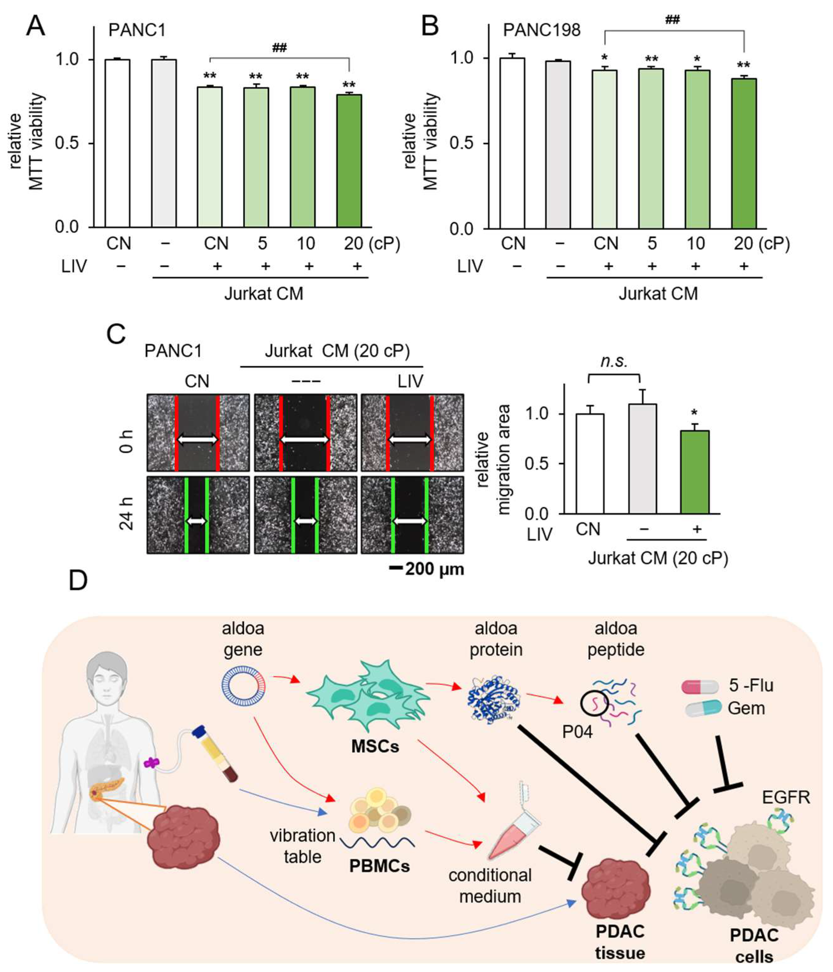 Pharmaceutics 15 02447 g008