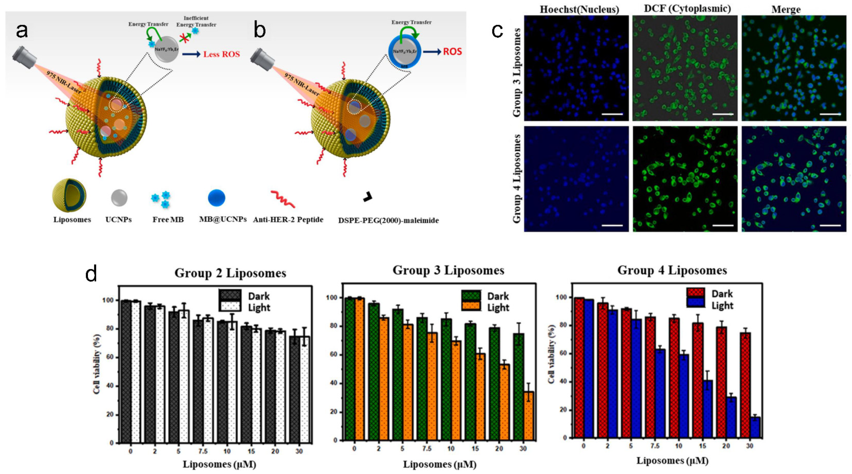 Pharmaceutics | Free Full-Text | Liposomes for Cancer Theranostics