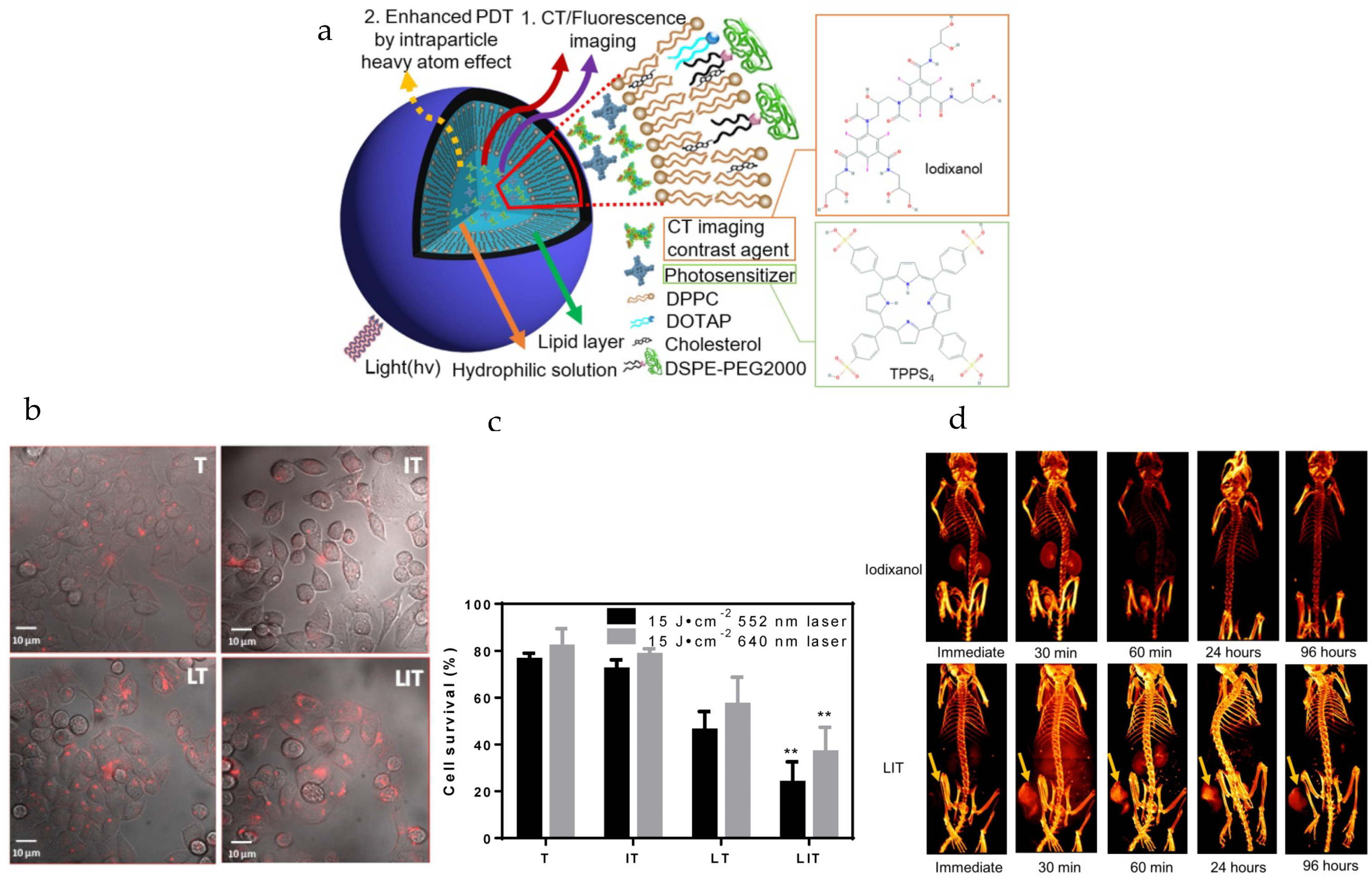 Pharmaceutics 15 02448 g002 Pharmaceutics 15 02448 g002
