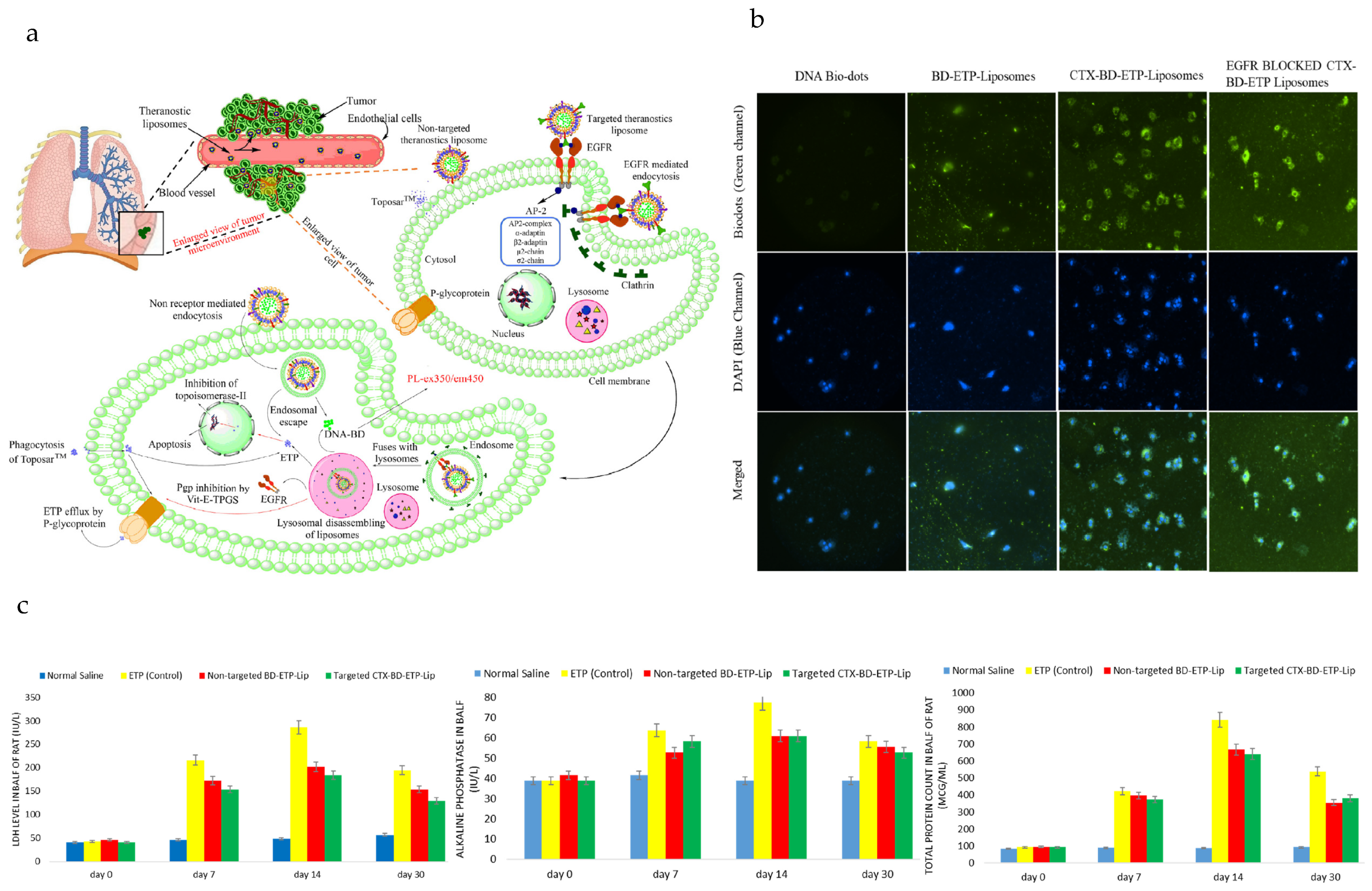 Pharmaceutics 15 02448 g004 Pharmaceutics 15 02448 g004