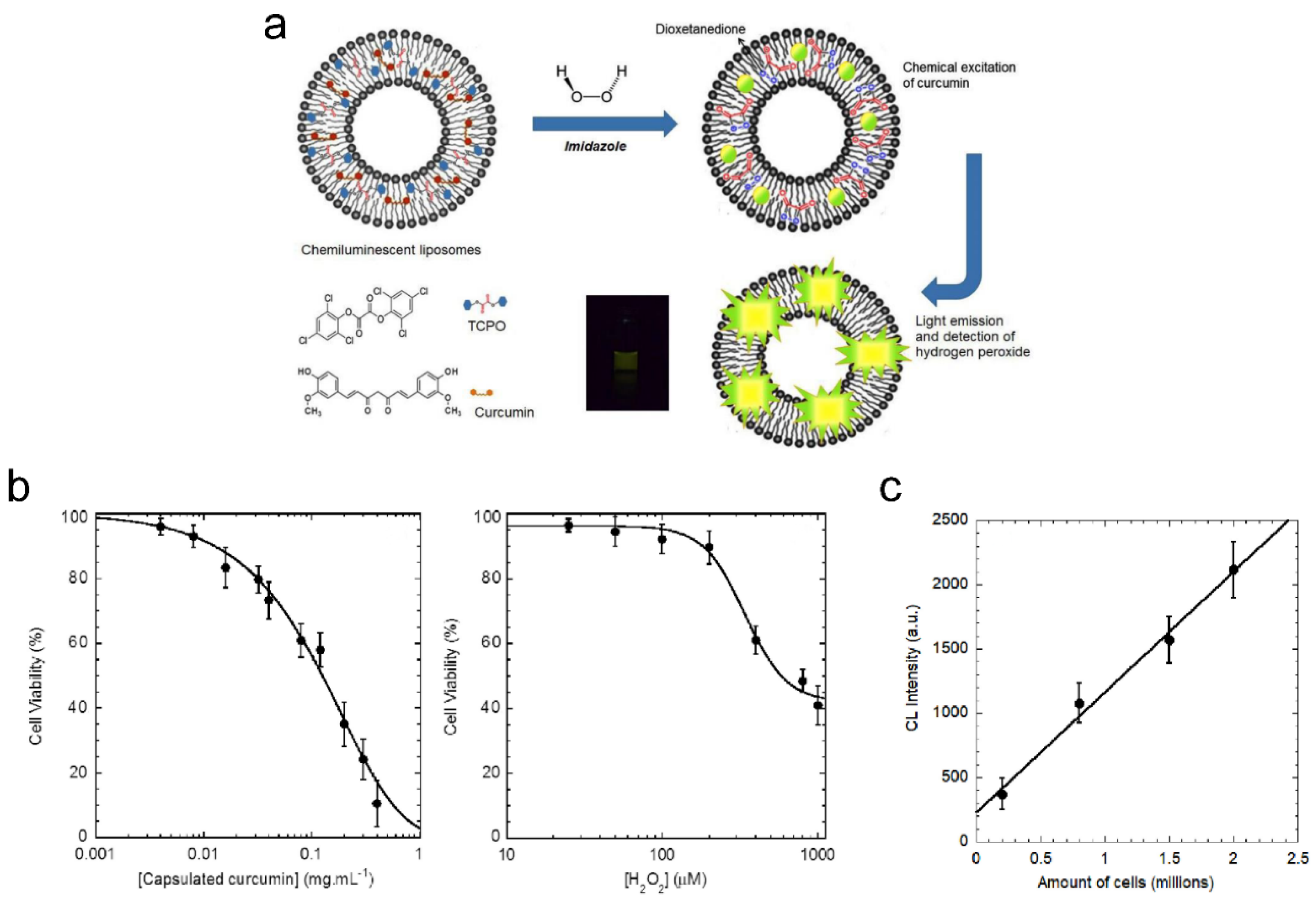 Pharmaceutics 15 02448 g006 Pharmaceutics 15 02448 g006