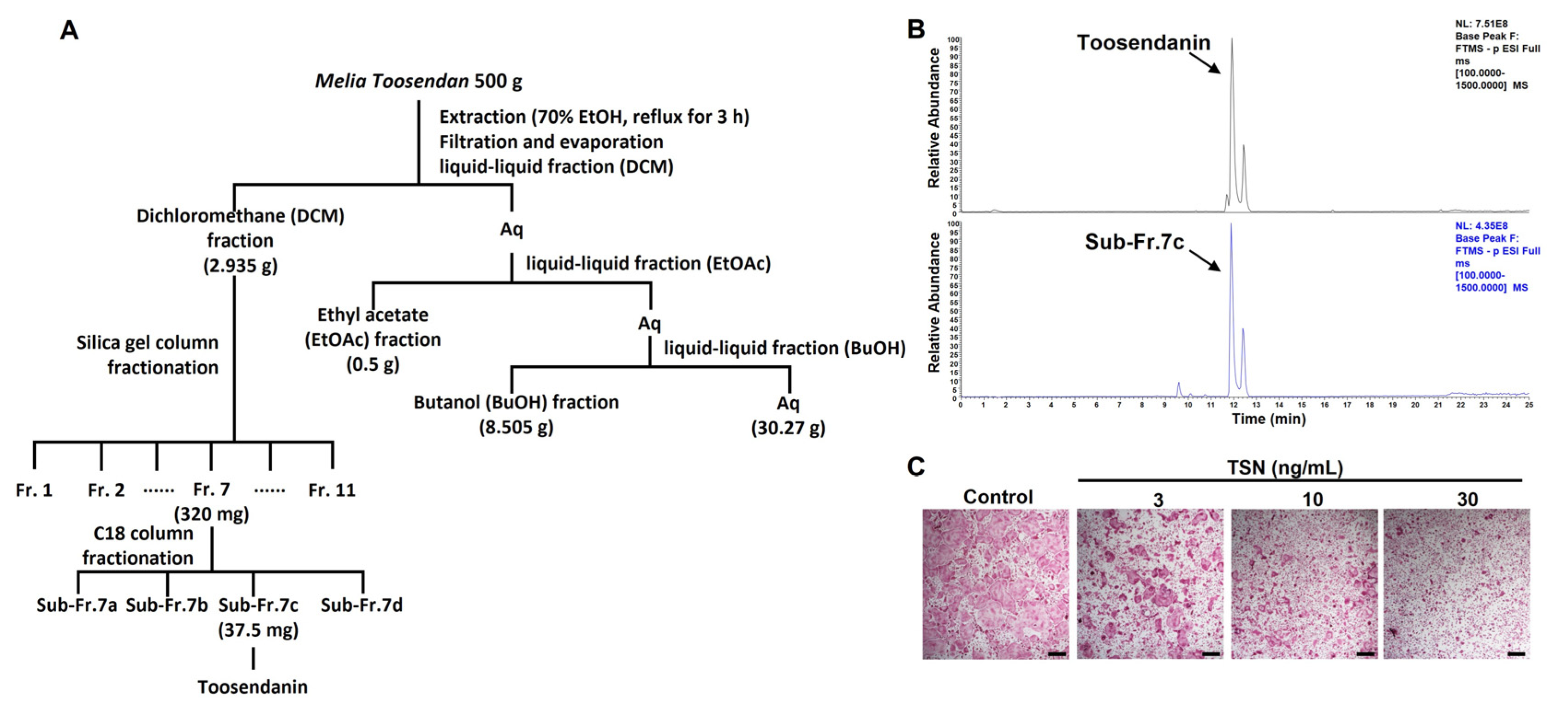 Pharmaceutics 15 02454 g003