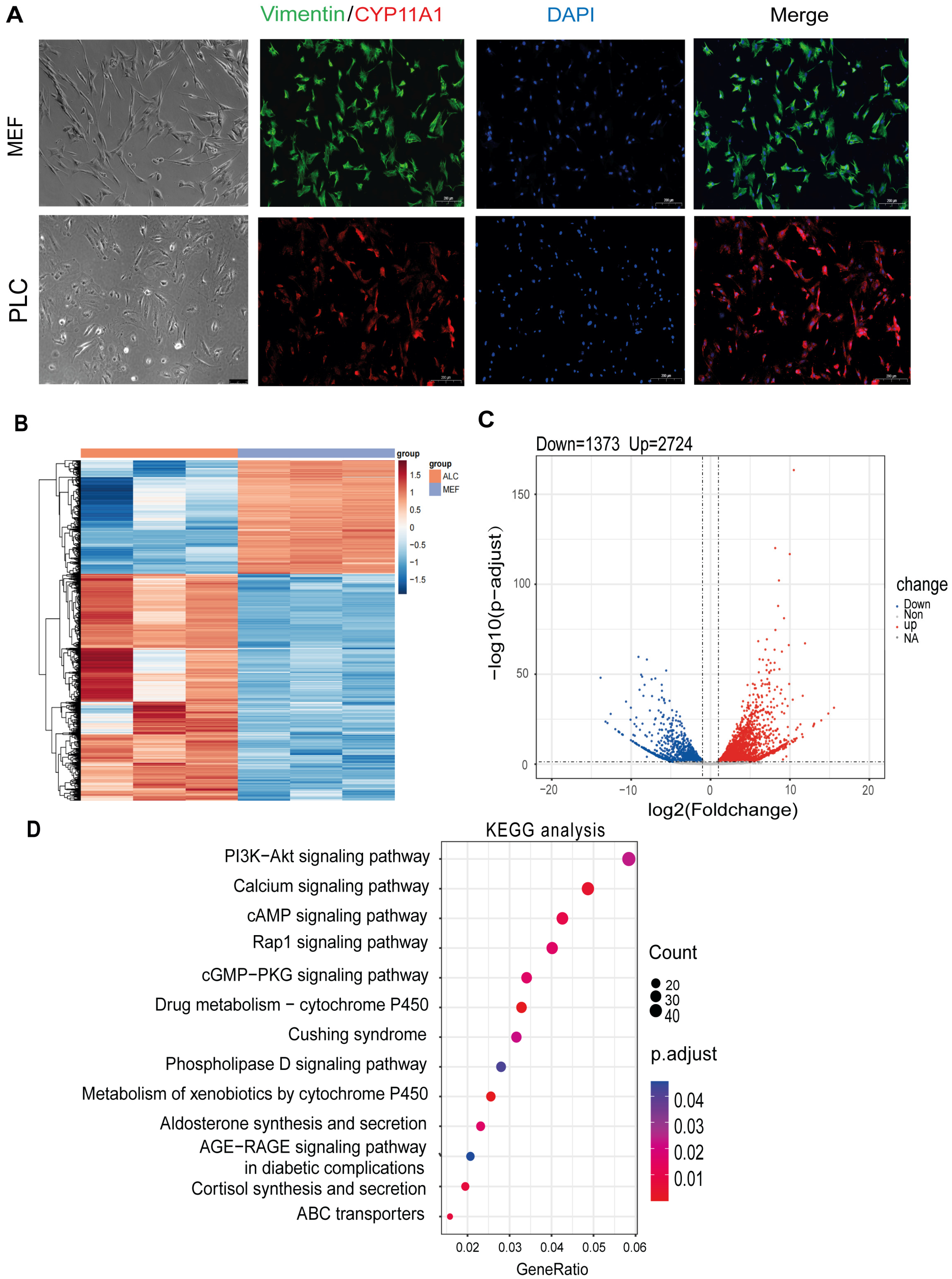 Pharmaceutics 15 02456 g001 Pharmaceutics 15 02456 g001