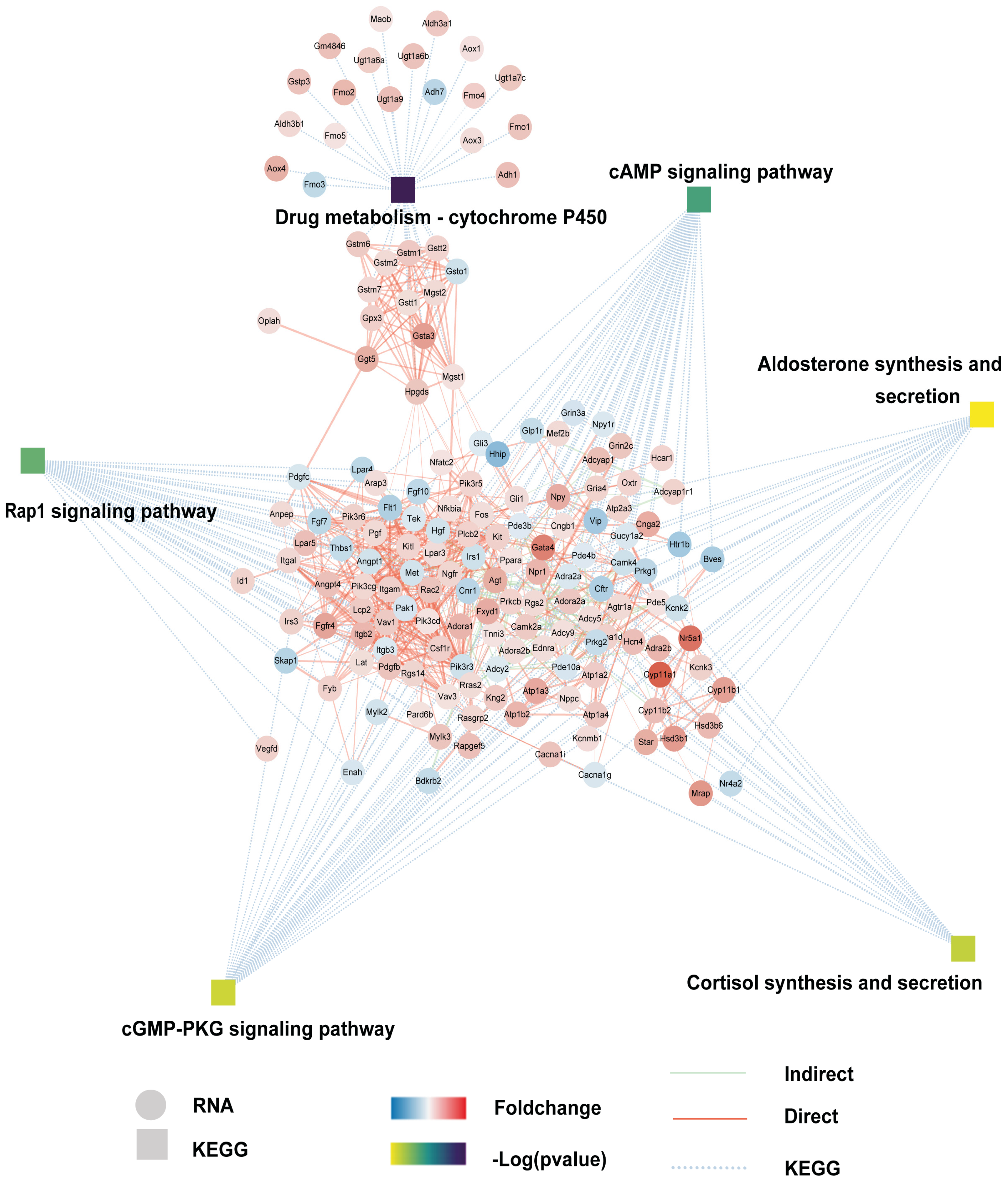 Pharmaceutics 15 02456 g002 Pharmaceutics 15 02456 g002