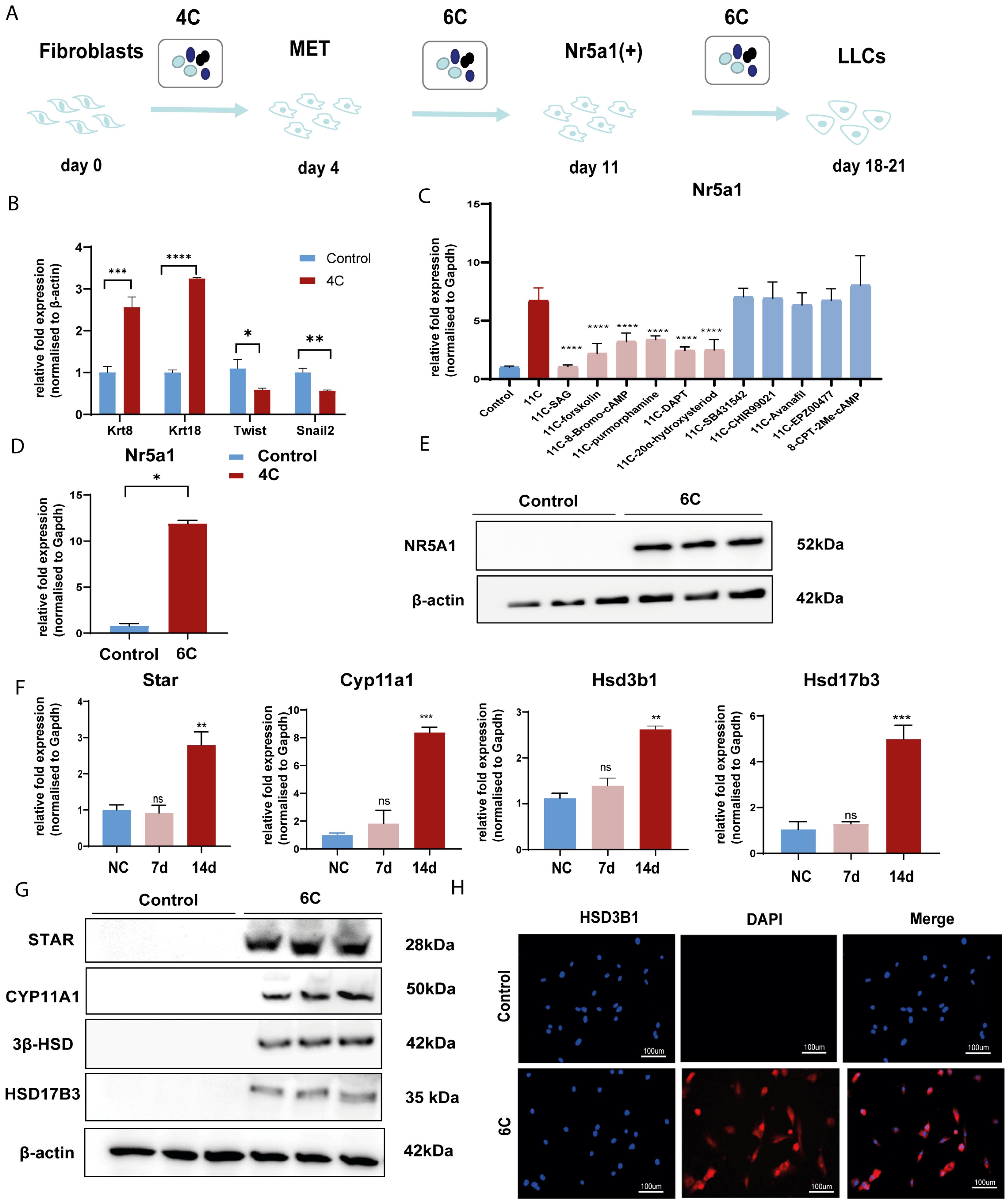 Pharmaceutics 15 02456 g003 Pharmaceutics 15 02456 g003