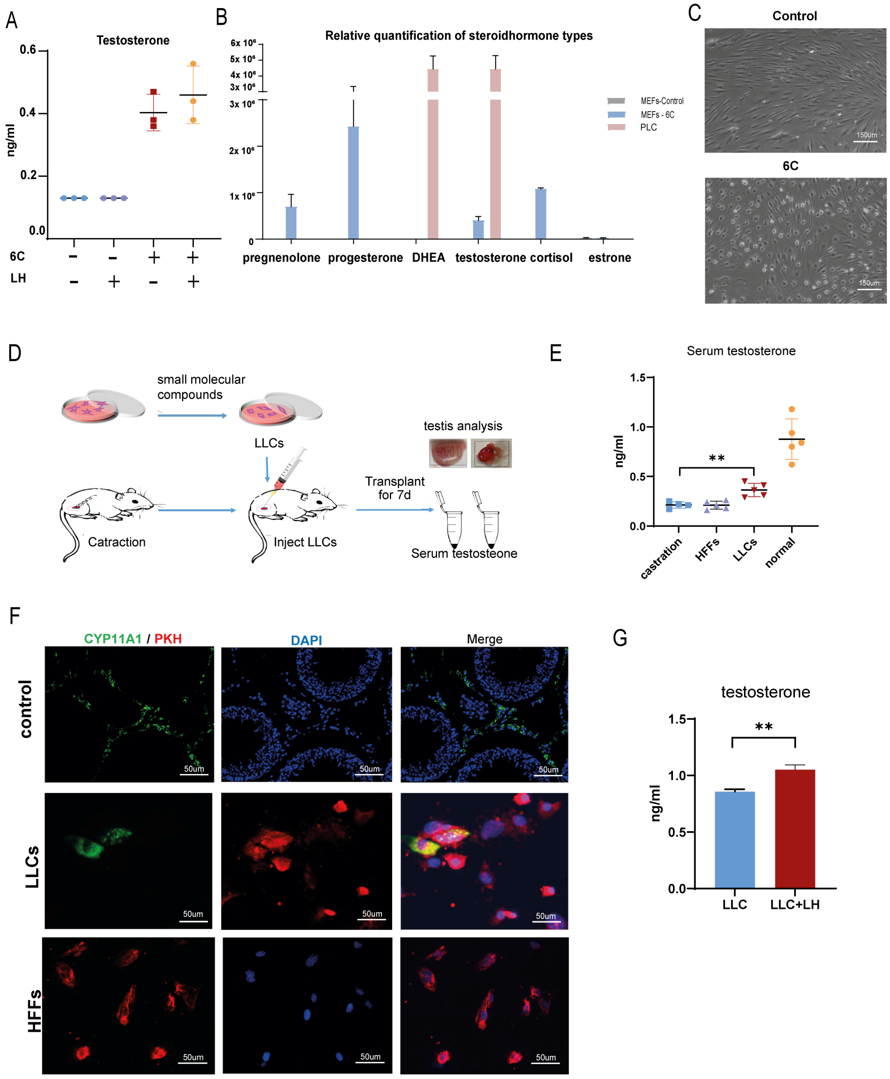 Pharmaceutics 15 02456 g004 Pharmaceutics 15 02456 g004