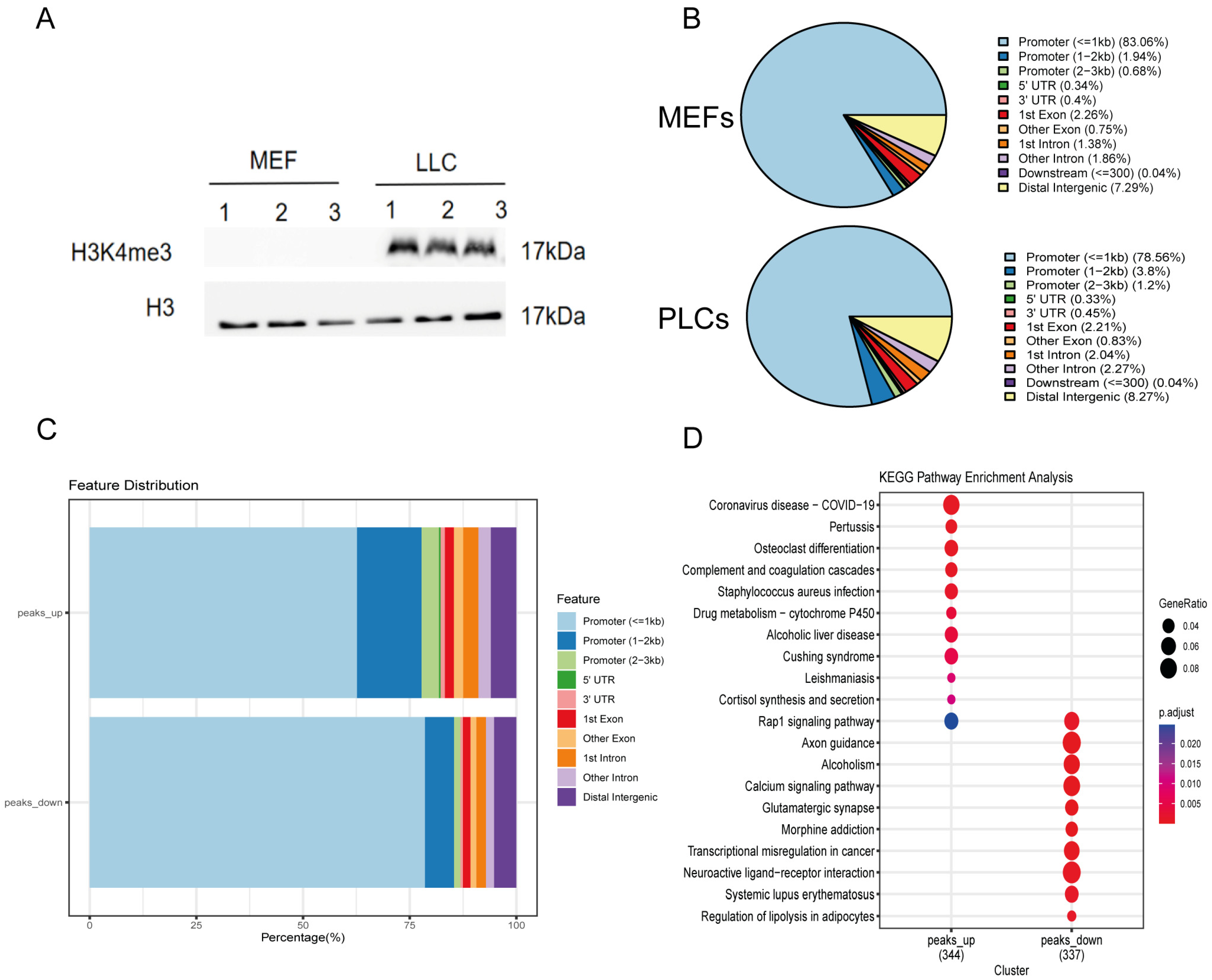 Pharmaceutics 15 02456 g005 Pharmaceutics 15 02456 g005