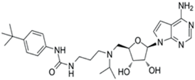 Pharmaceutics 15 02456 i002 Pharmaceutics 15 02456 i002