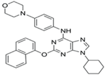 Pharmaceutics 15 02456 i007 Pharmaceutics 15 02456 i007