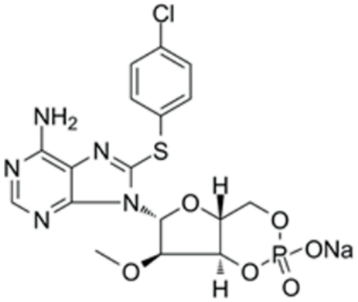 Pharmaceutics 15 02456 i010 Pharmaceutics 15 02456 i010