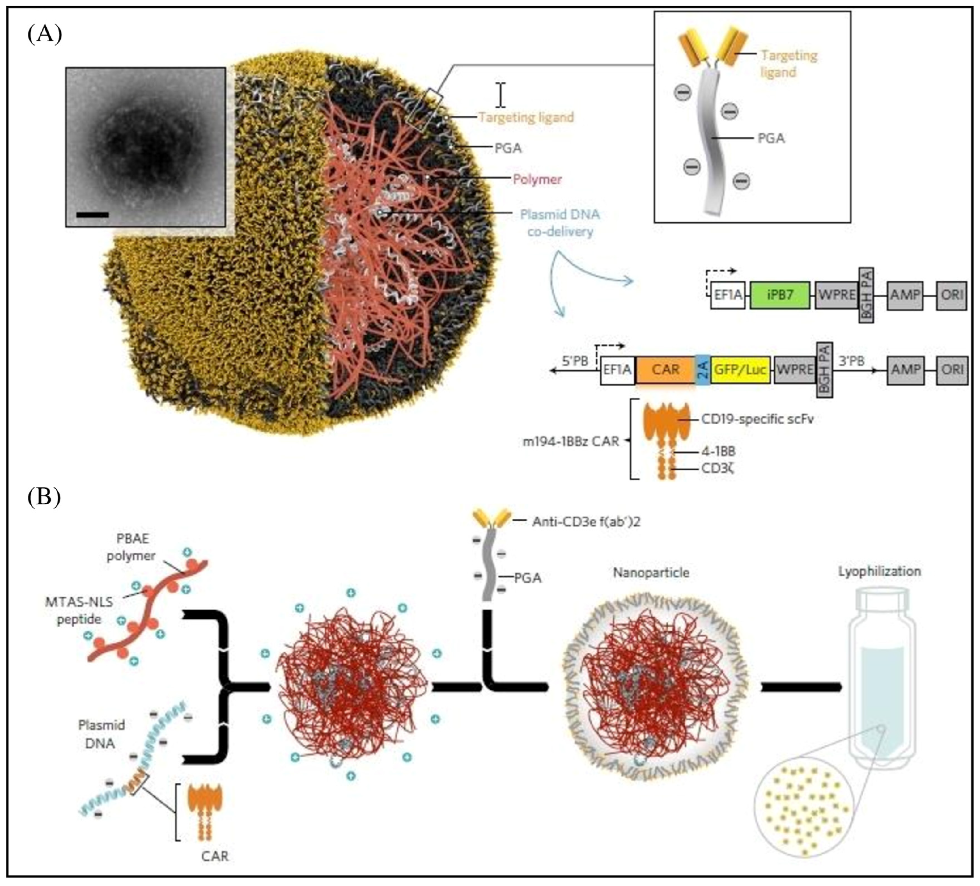 Pharmaceutics 15 02458 g006
