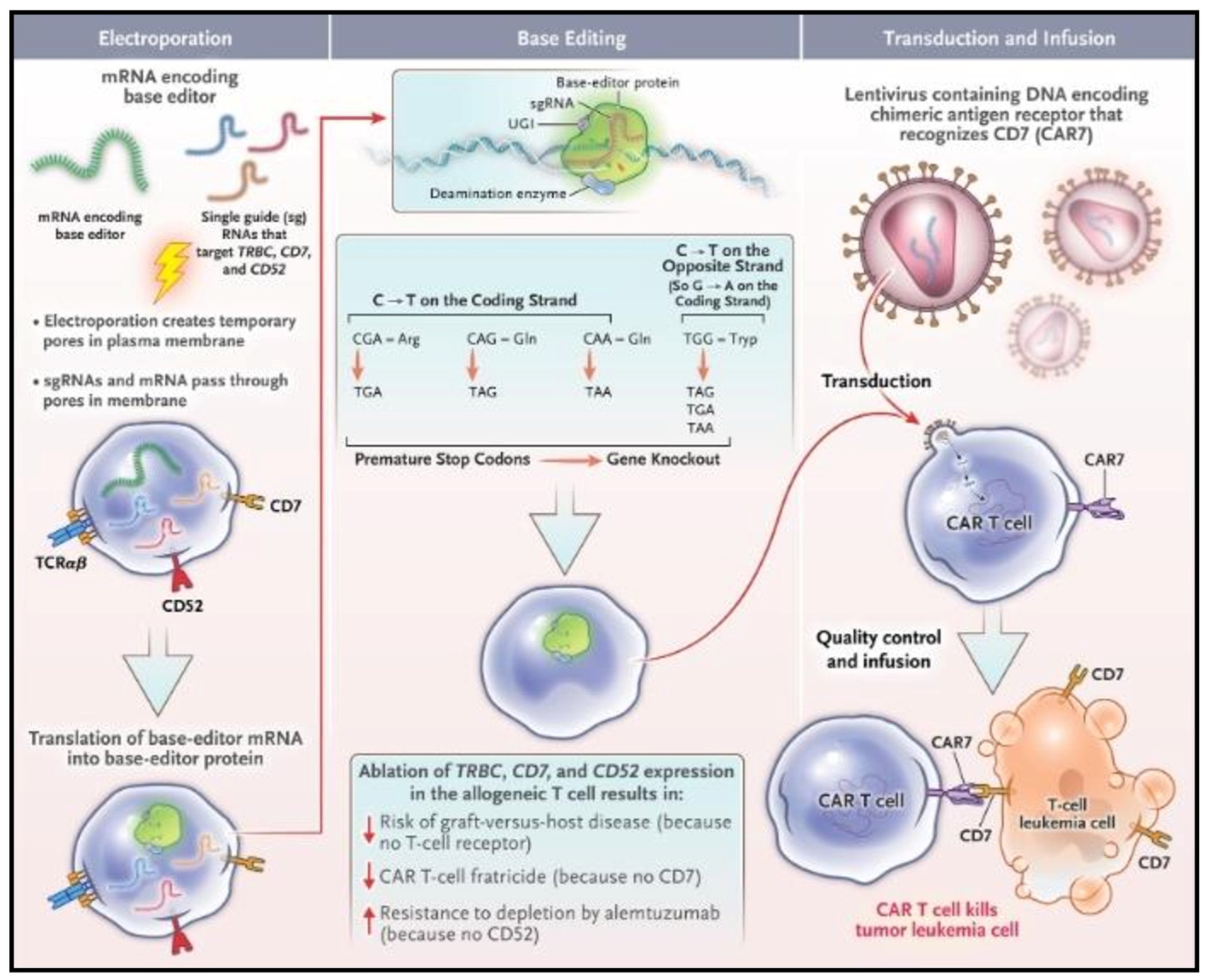 Pharmaceutics 15 02458 g007