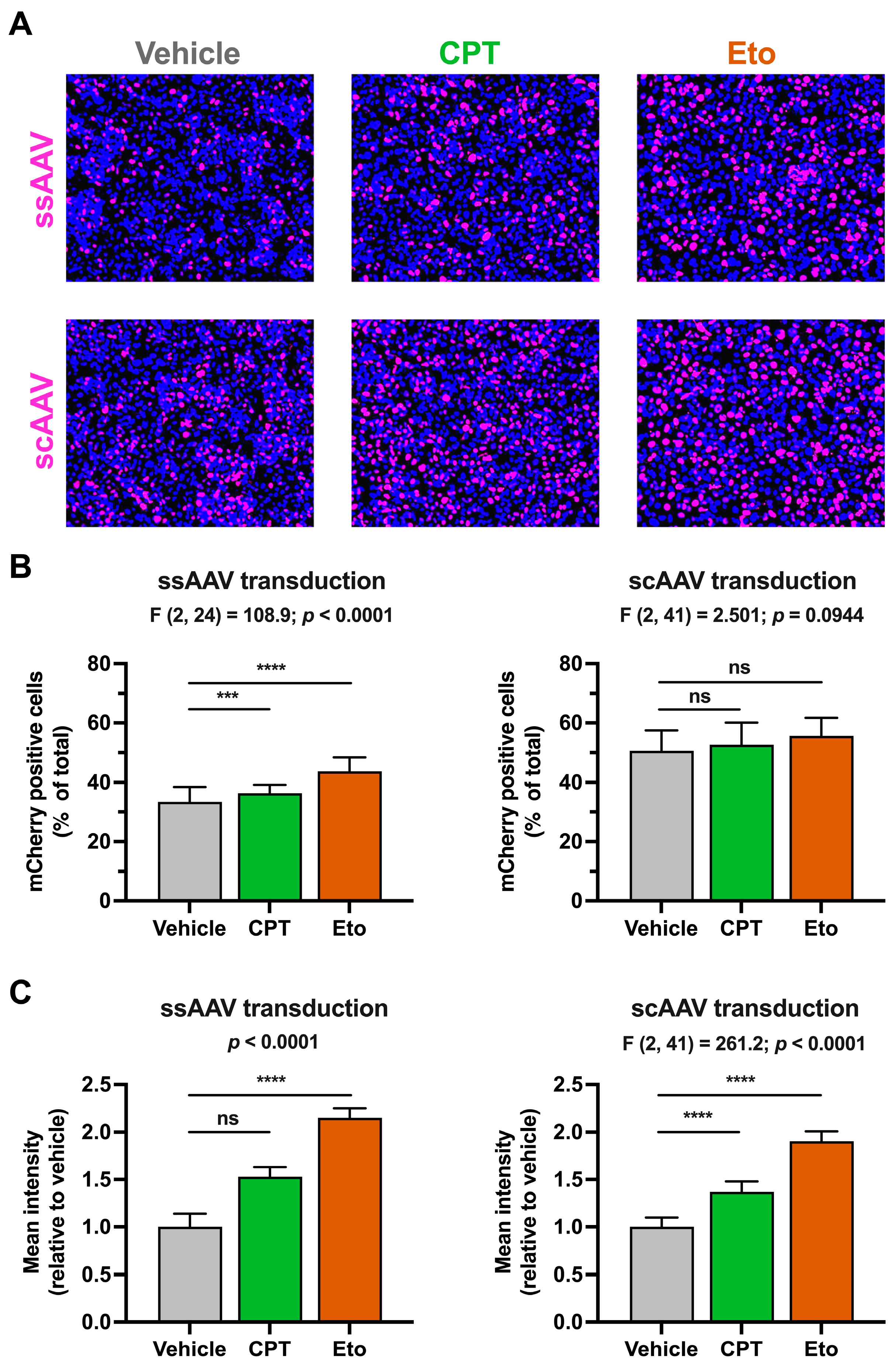 Pharmaceutics 15 02459 g002 Pharmaceutics 15 02459 g002