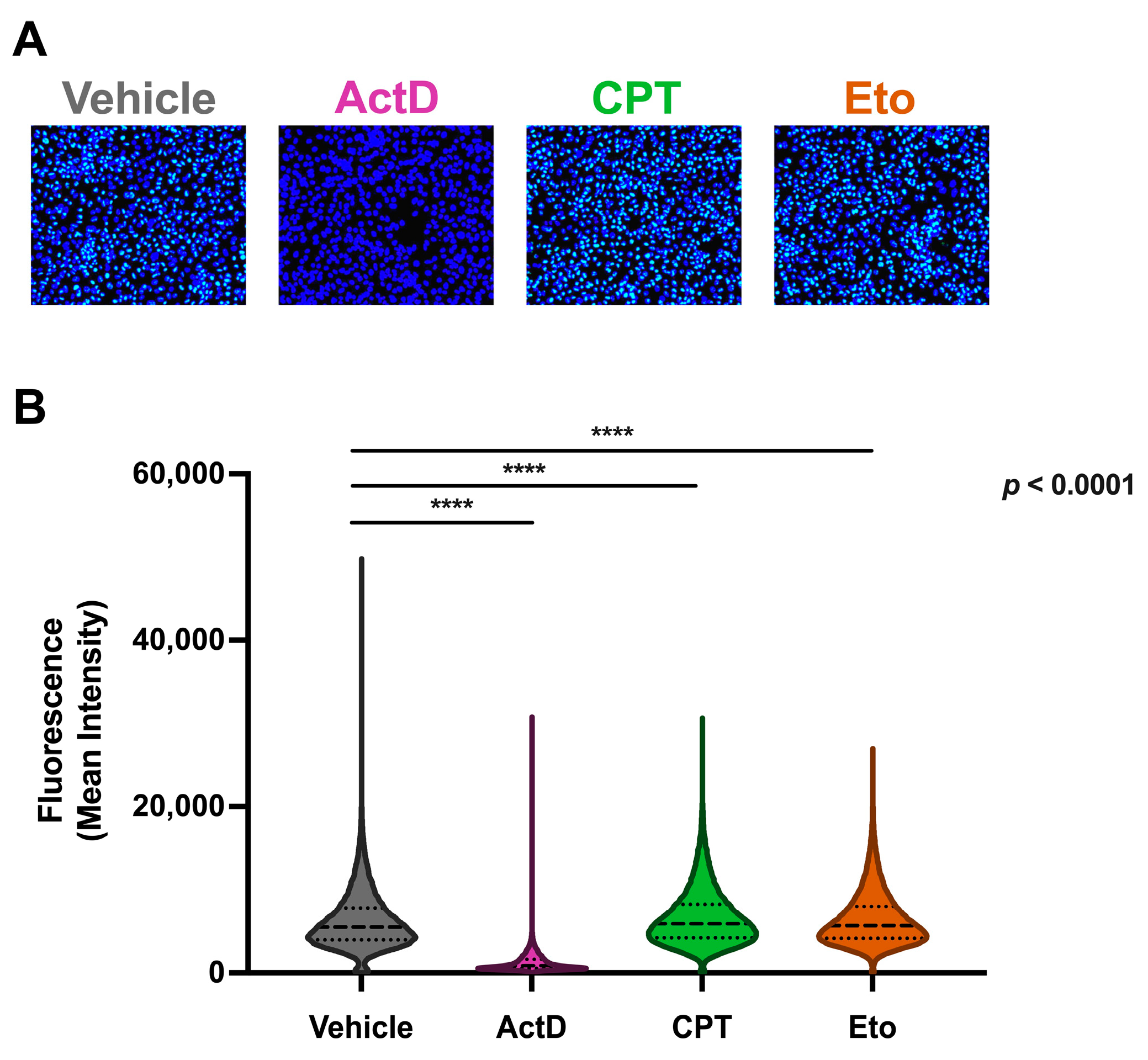 Pharmaceutics 15 02459 g005 Pharmaceutics 15 02459 g005