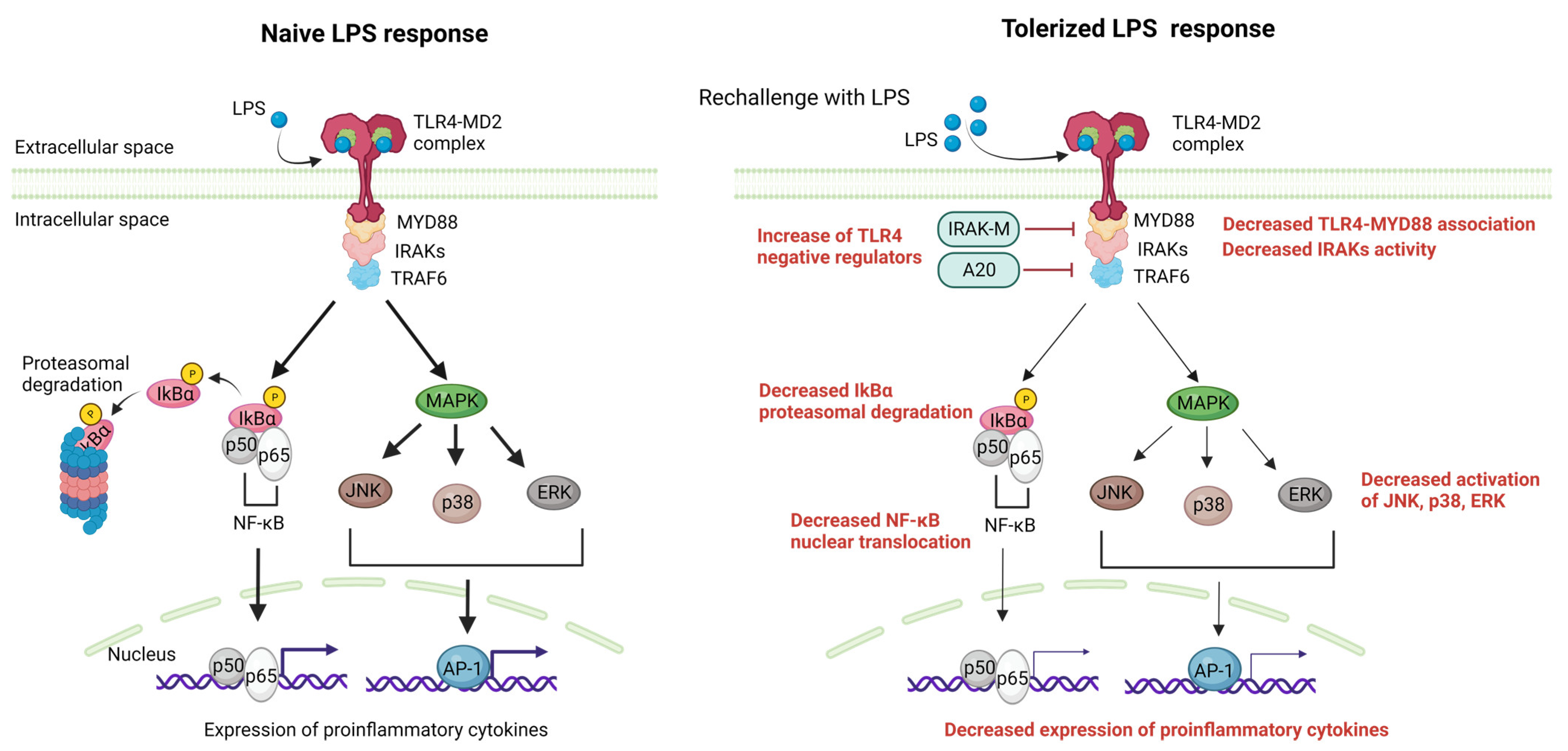 Pharmaceutics 15 02460 g003