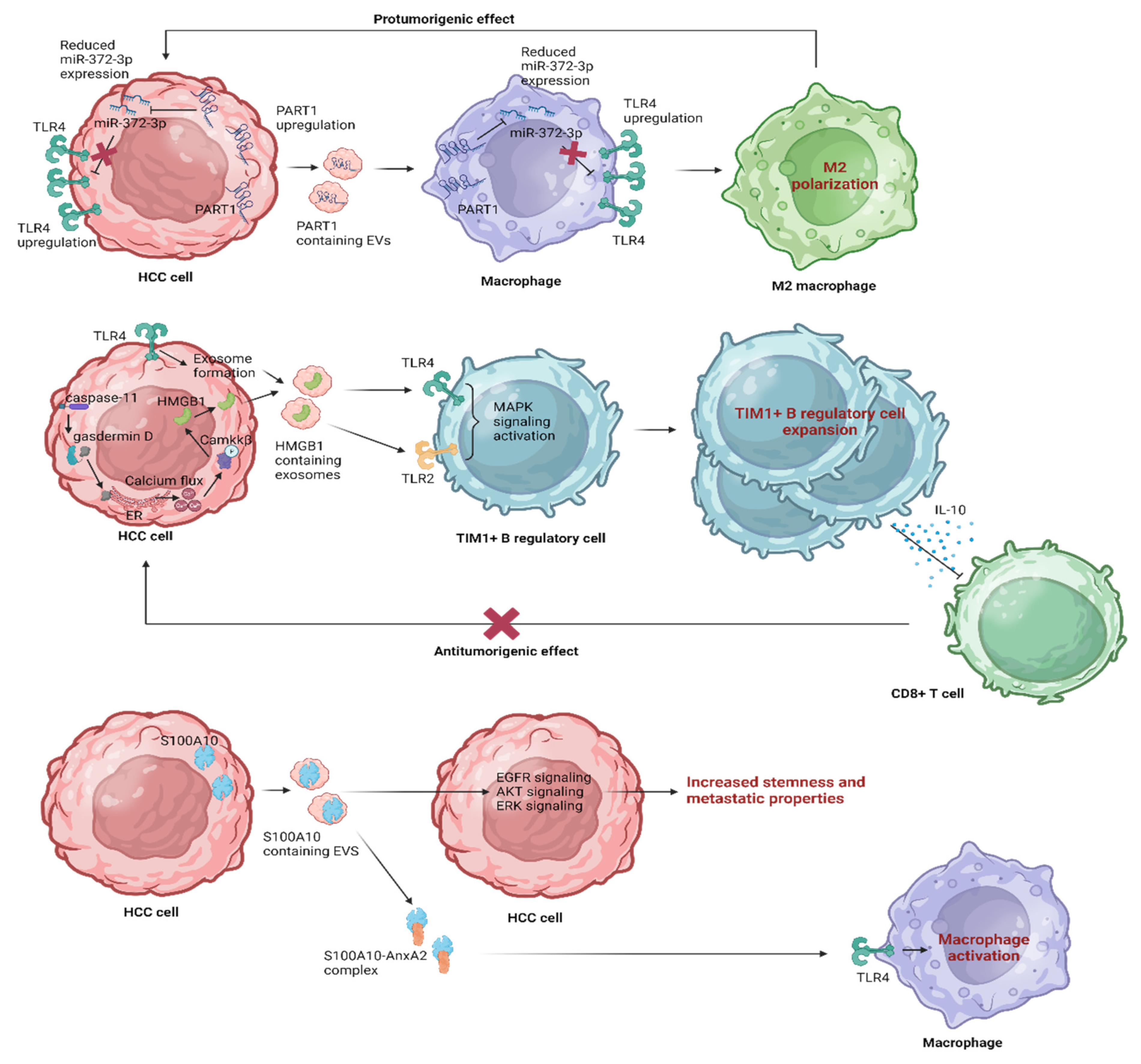 Pharmaceutics 15 02460 g005