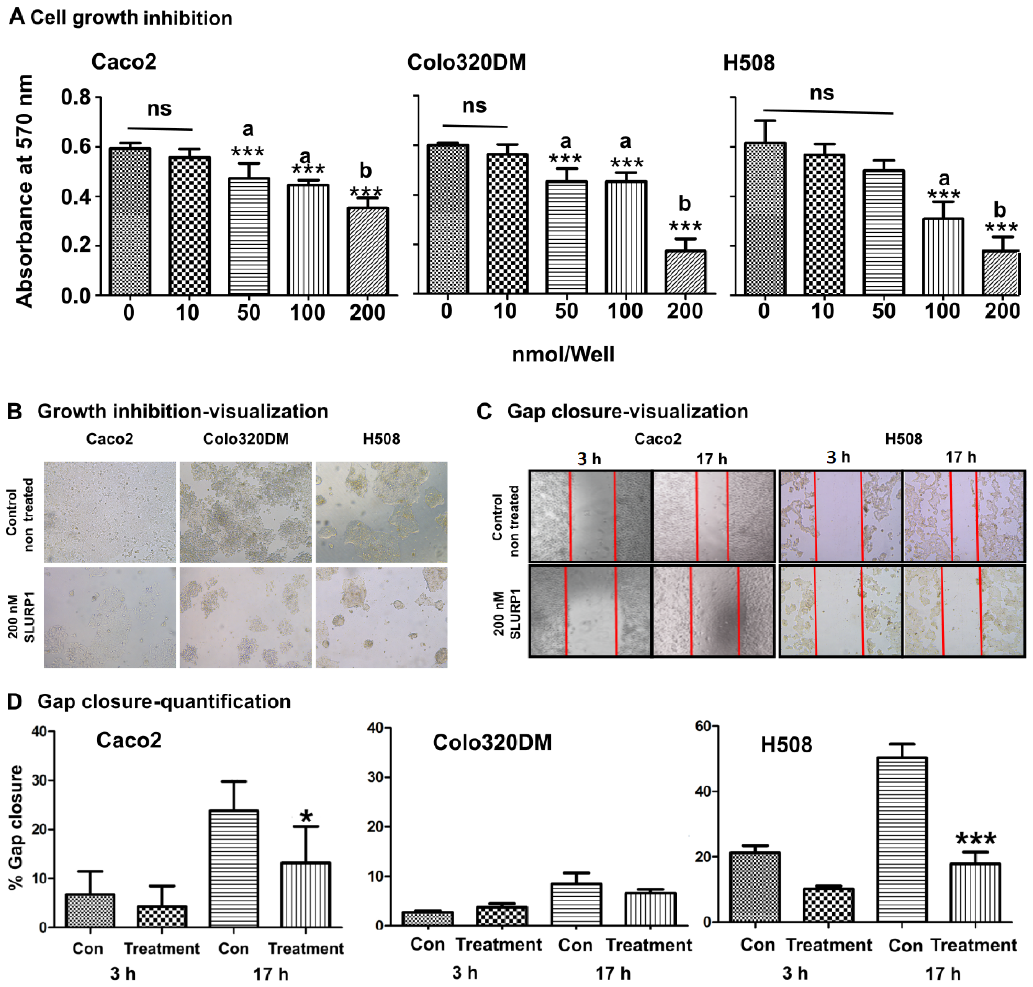 Pharmaceutics 15 02462 g001