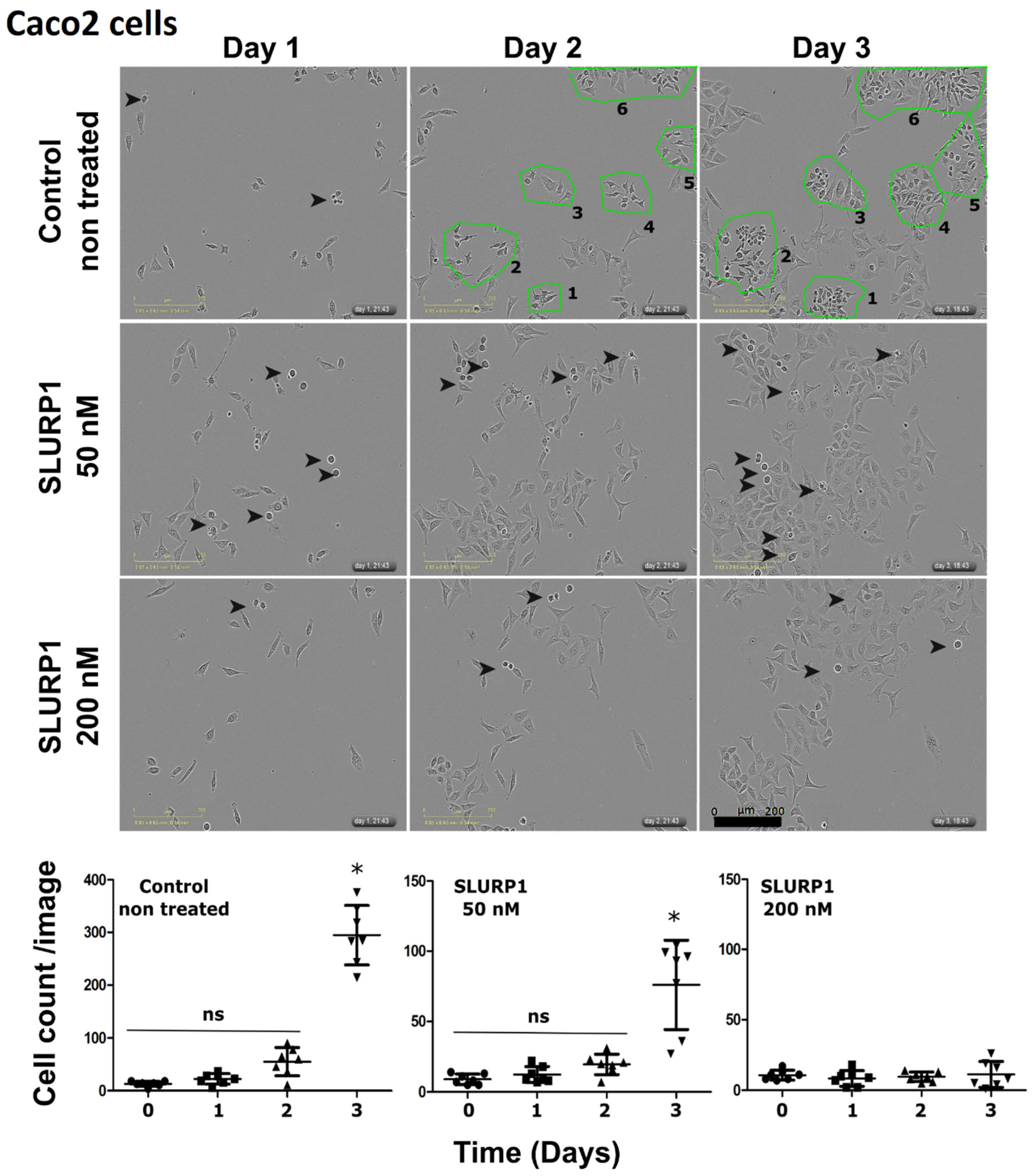 Pharmaceutics 15 02462 g002