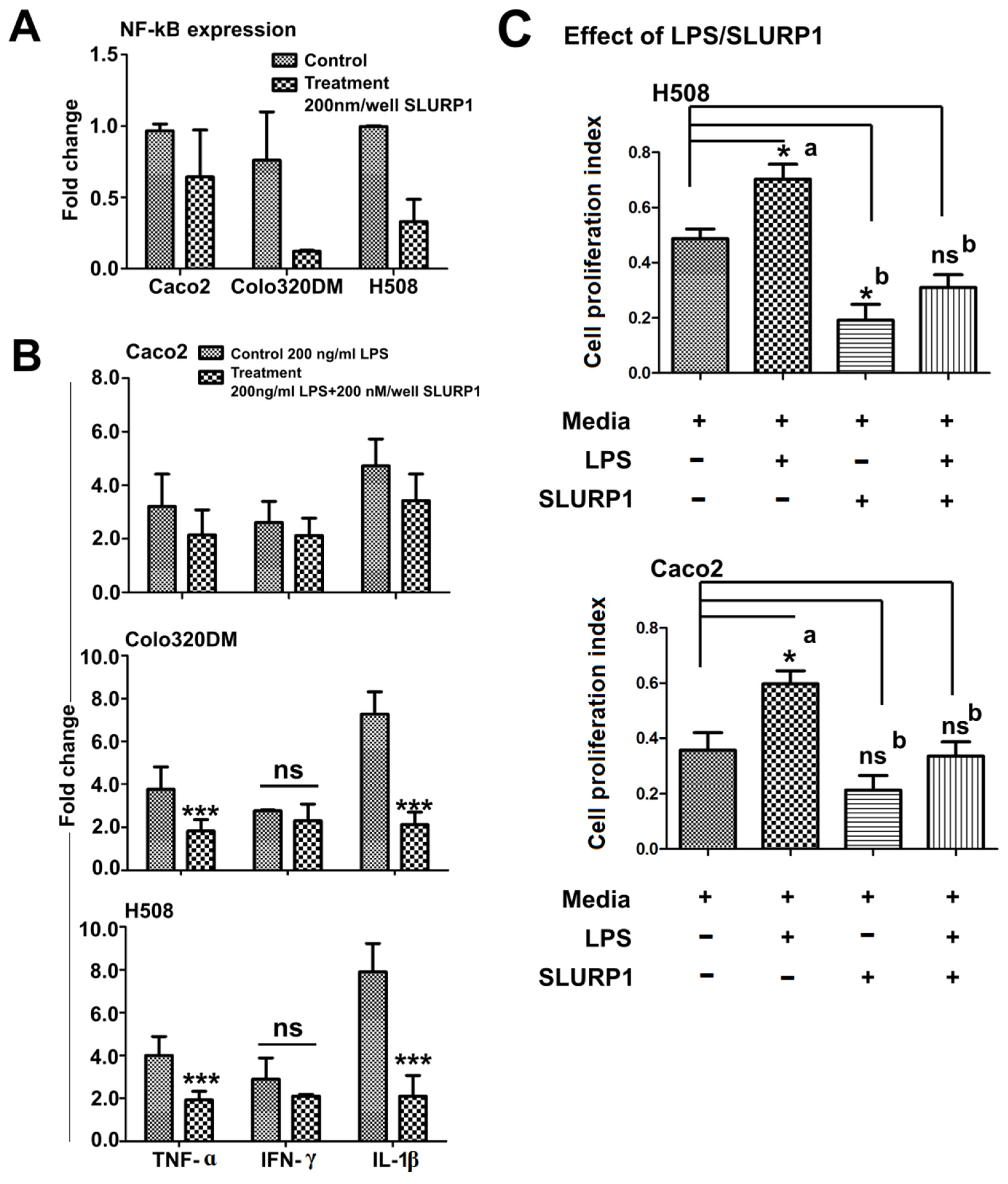 Pharmaceutics 15 02462 g004