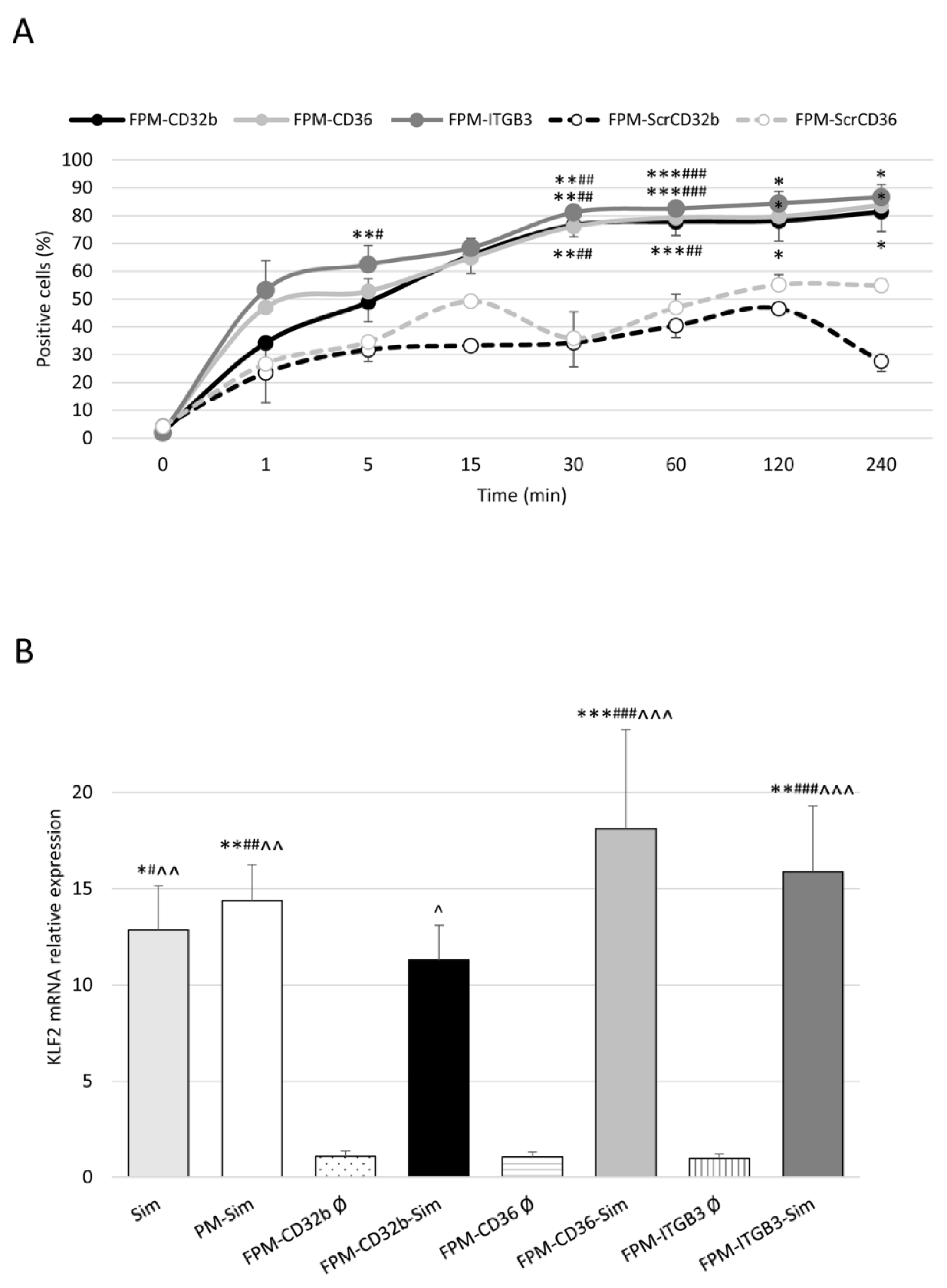 Pharmaceutics 15 02463 g003