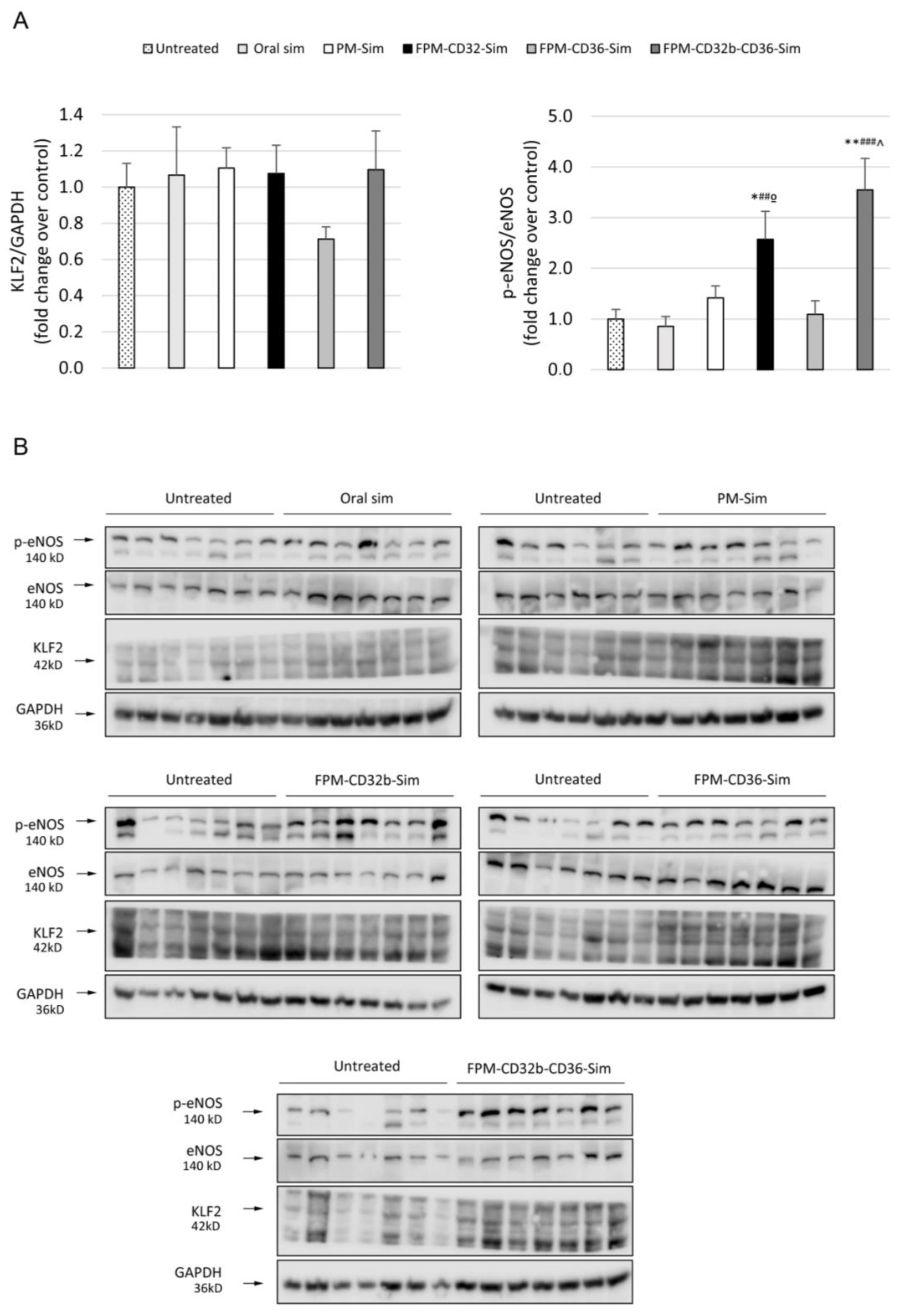Pharmaceutics 15 02463 g009