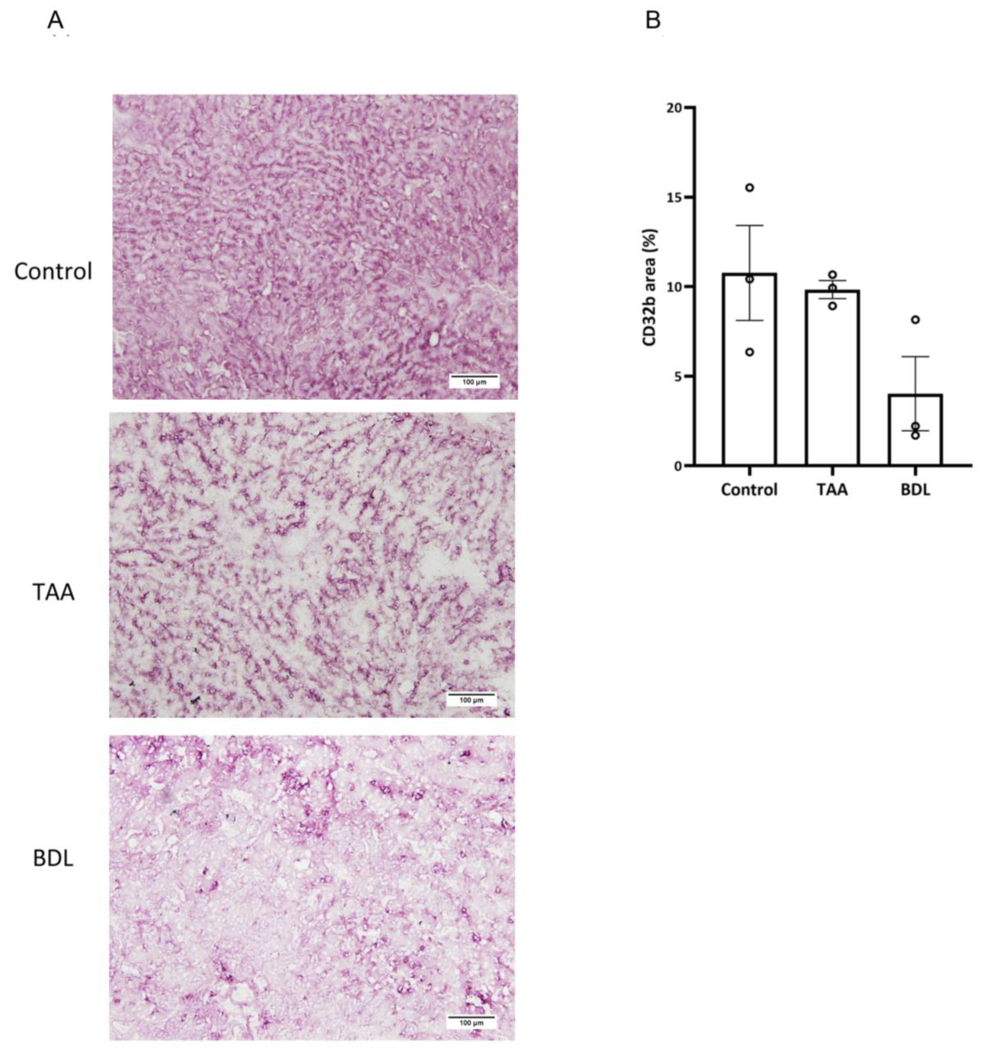 Pharmaceutics 15 02463 g010