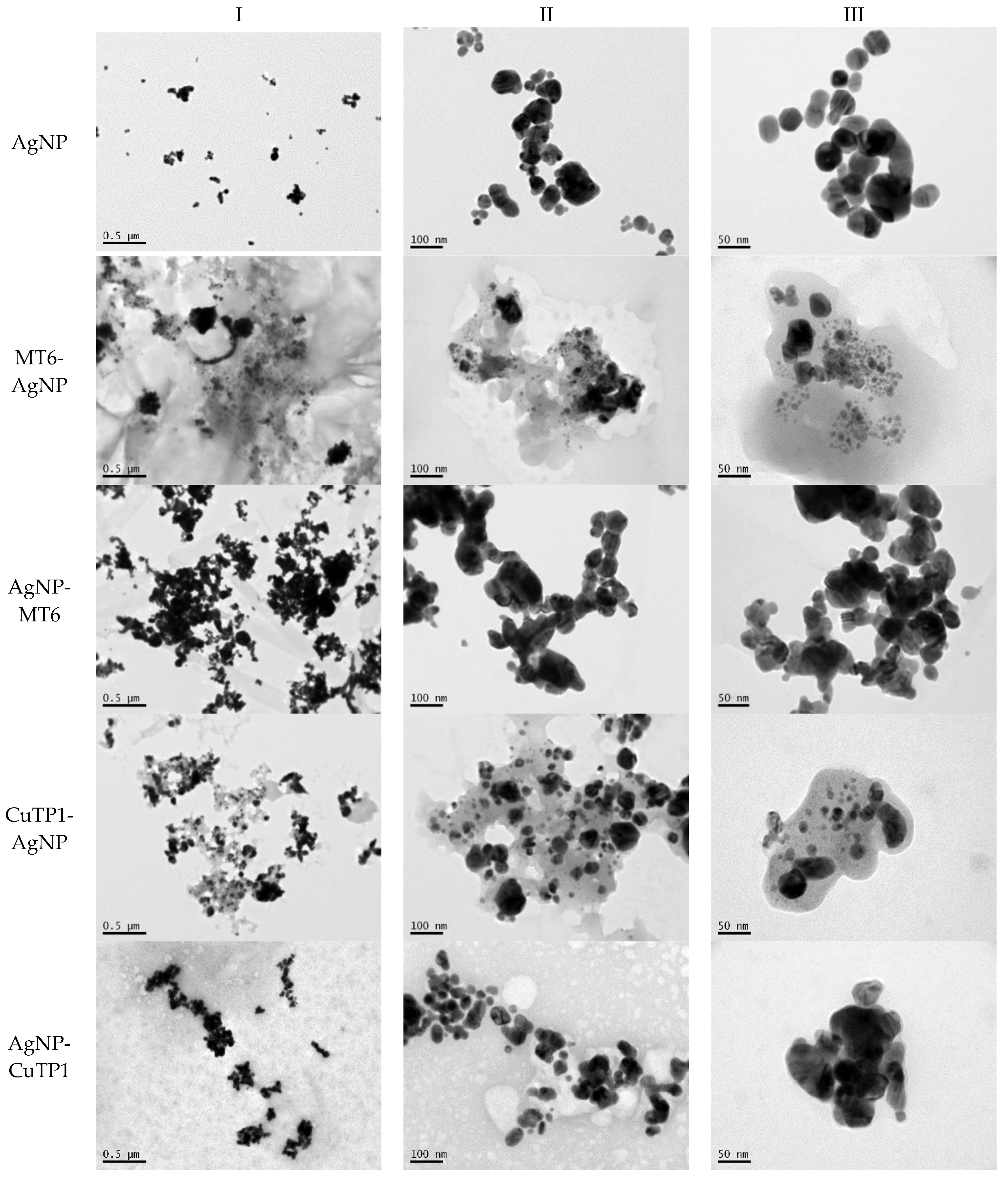 Pharmaceutics 15 02471 g002