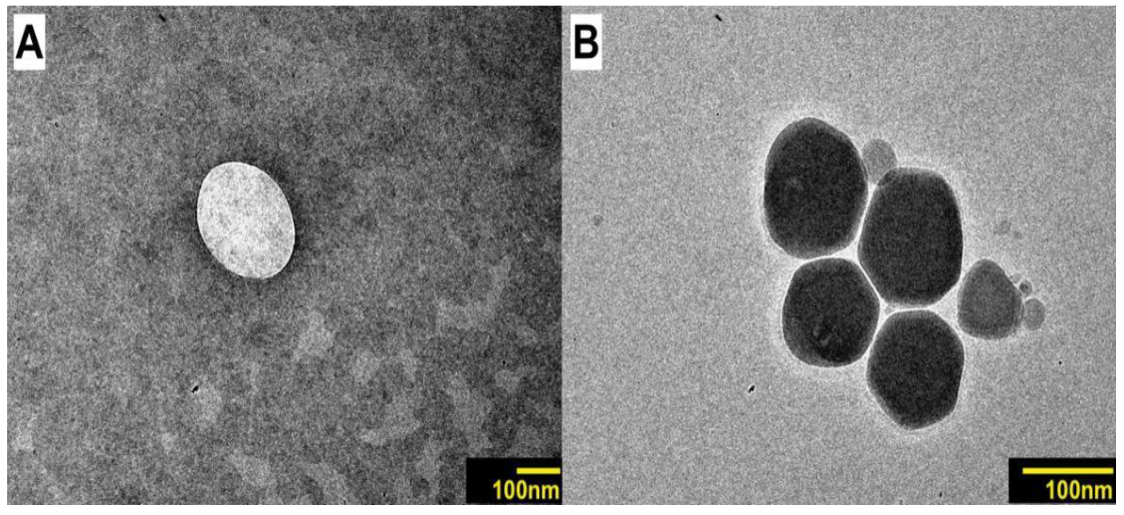 Pharmaceutics 15 02475 g003
