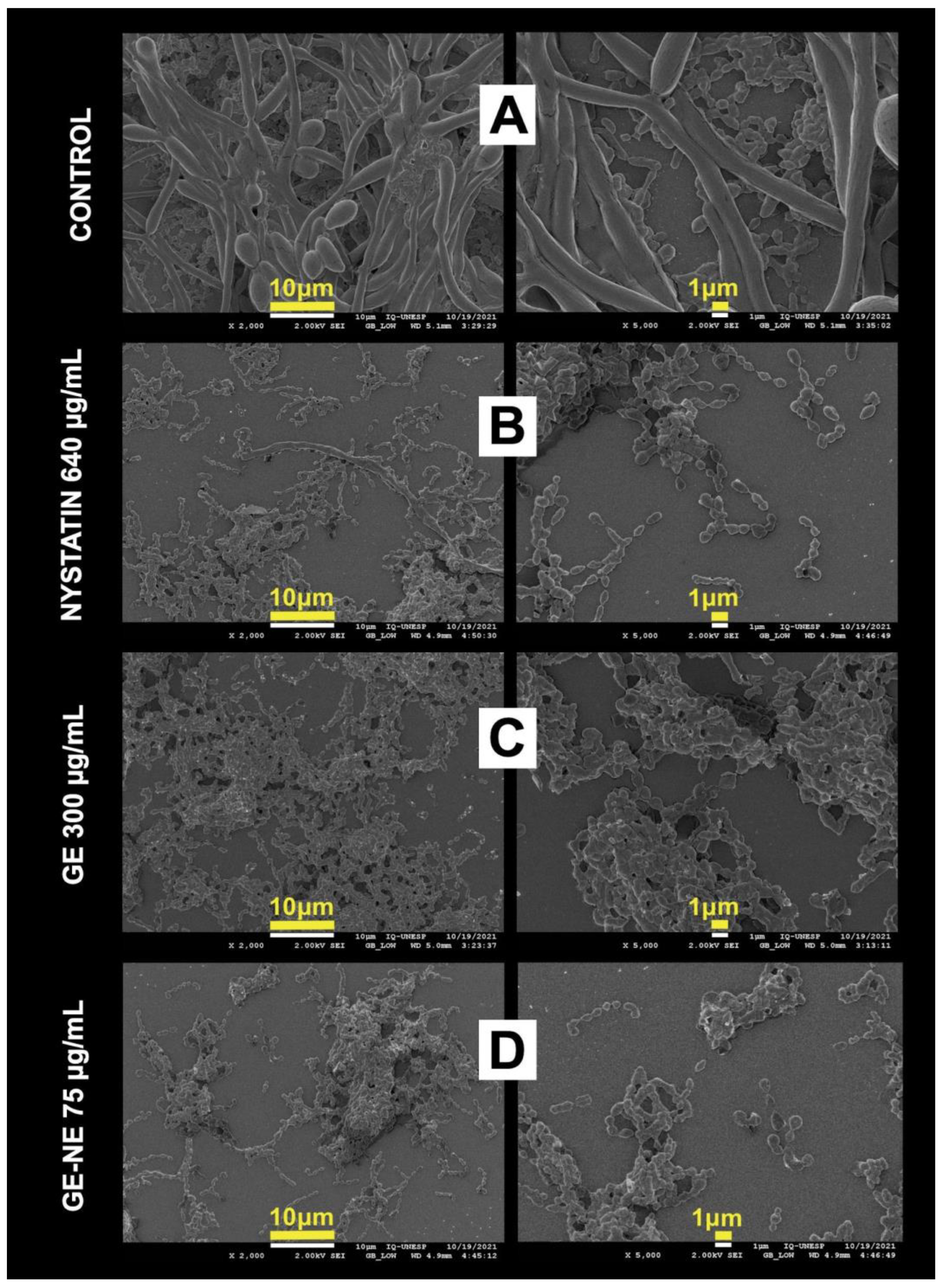 Pharmaceutics 15 02475 g006