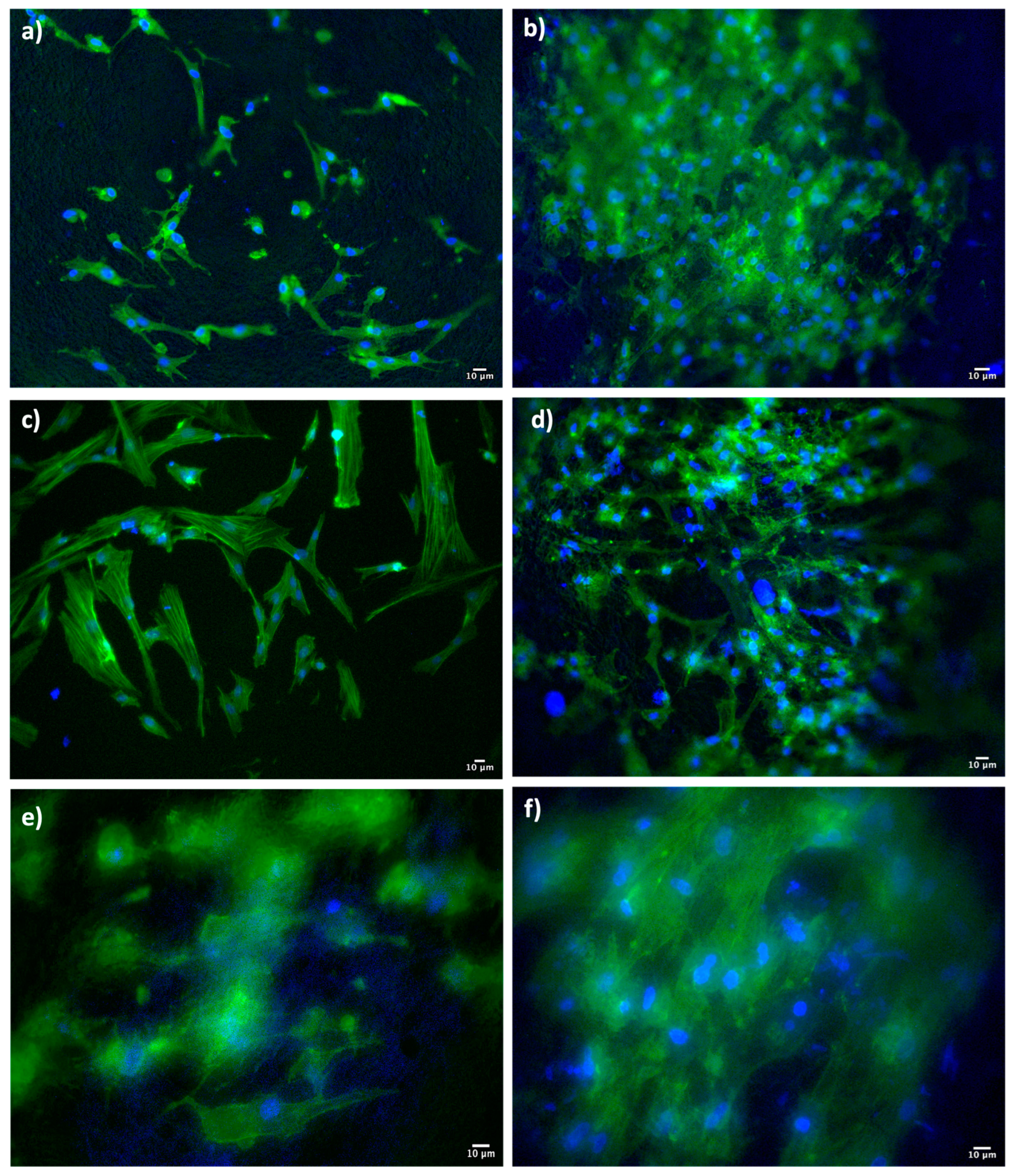 Pharmaceutics 15 02478 g008