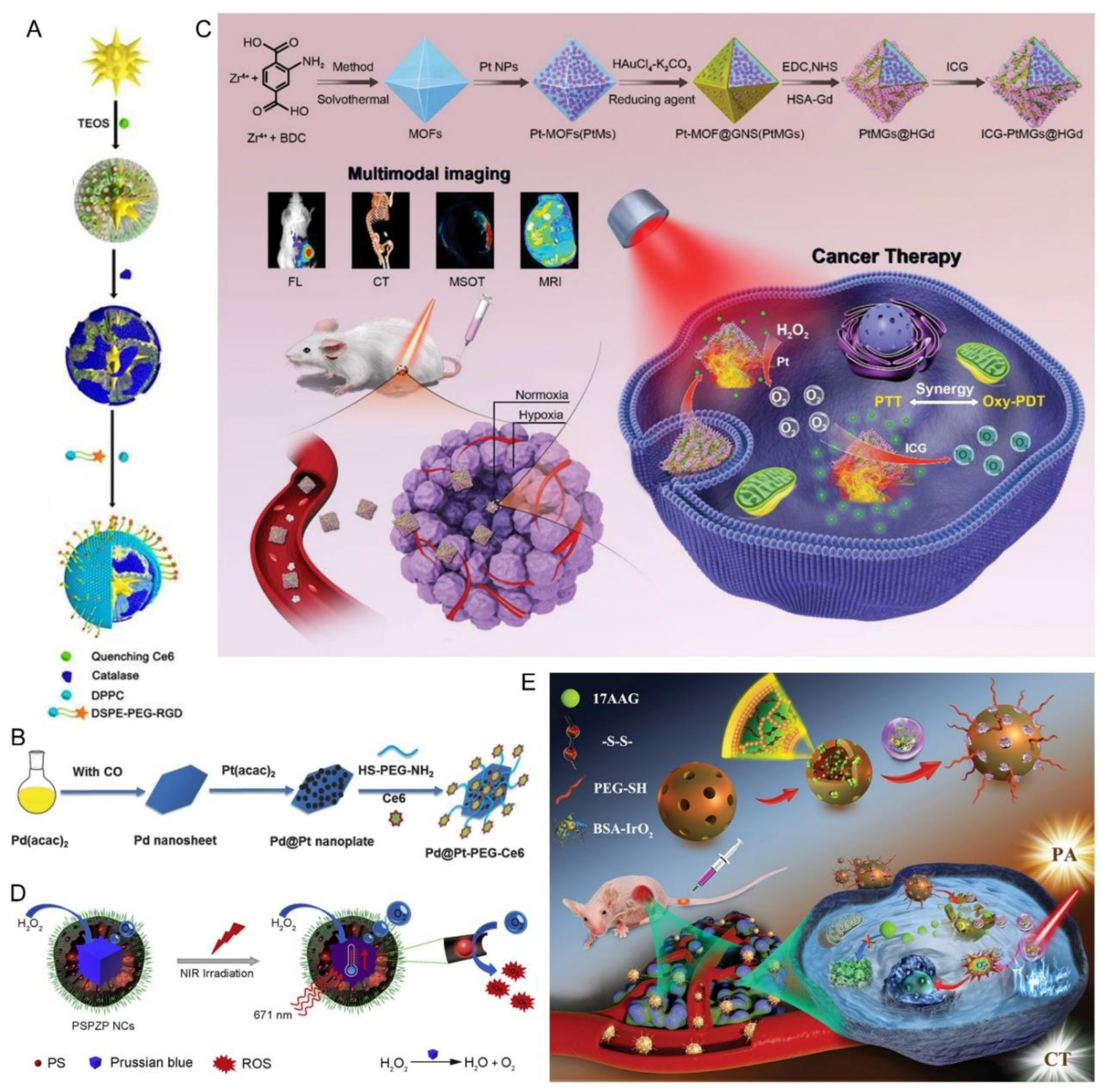 Pharmaceutics 15 02480 g002