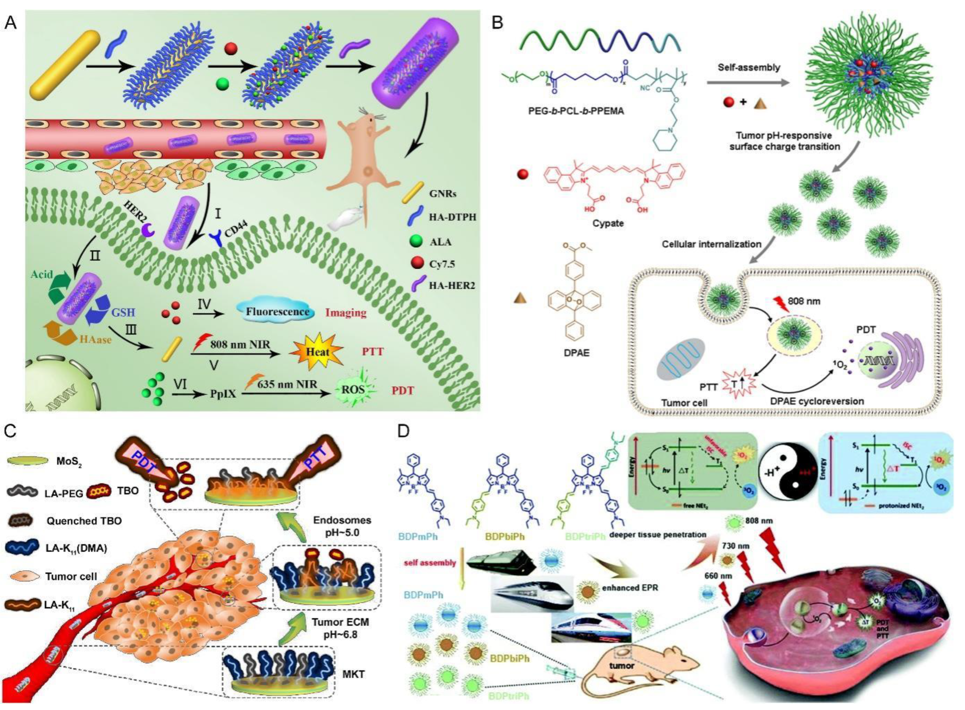 Pharmaceutics 15 02480 g003