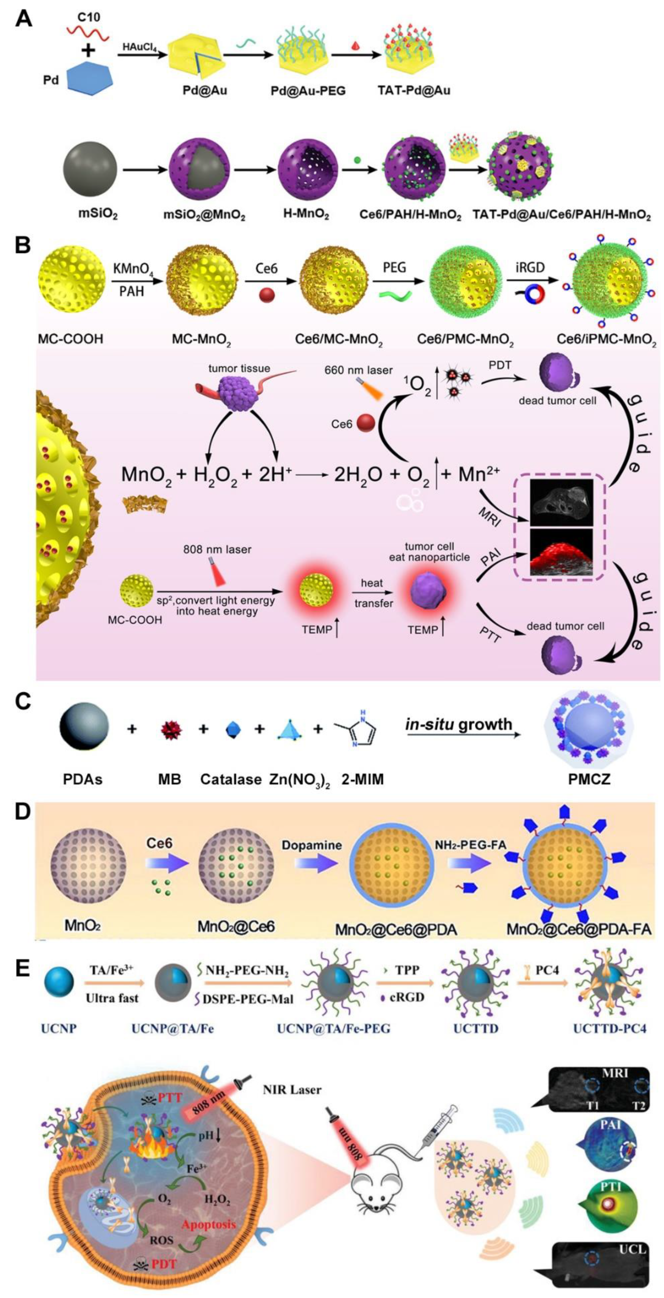 Pharmaceutics 15 02480 g004