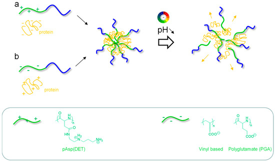 Copolymer Micelles: A Focus on Recent Advances for Stimulus-Responsive ...
