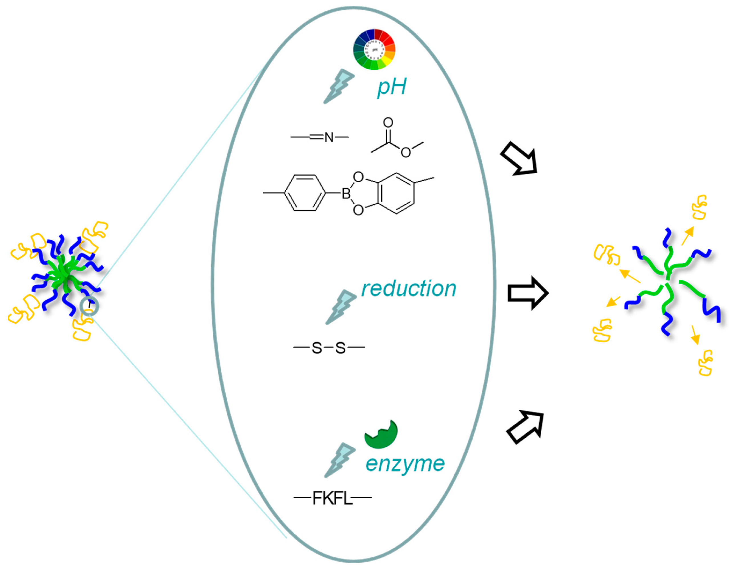 Pharmaceutics 15 02481 g003
