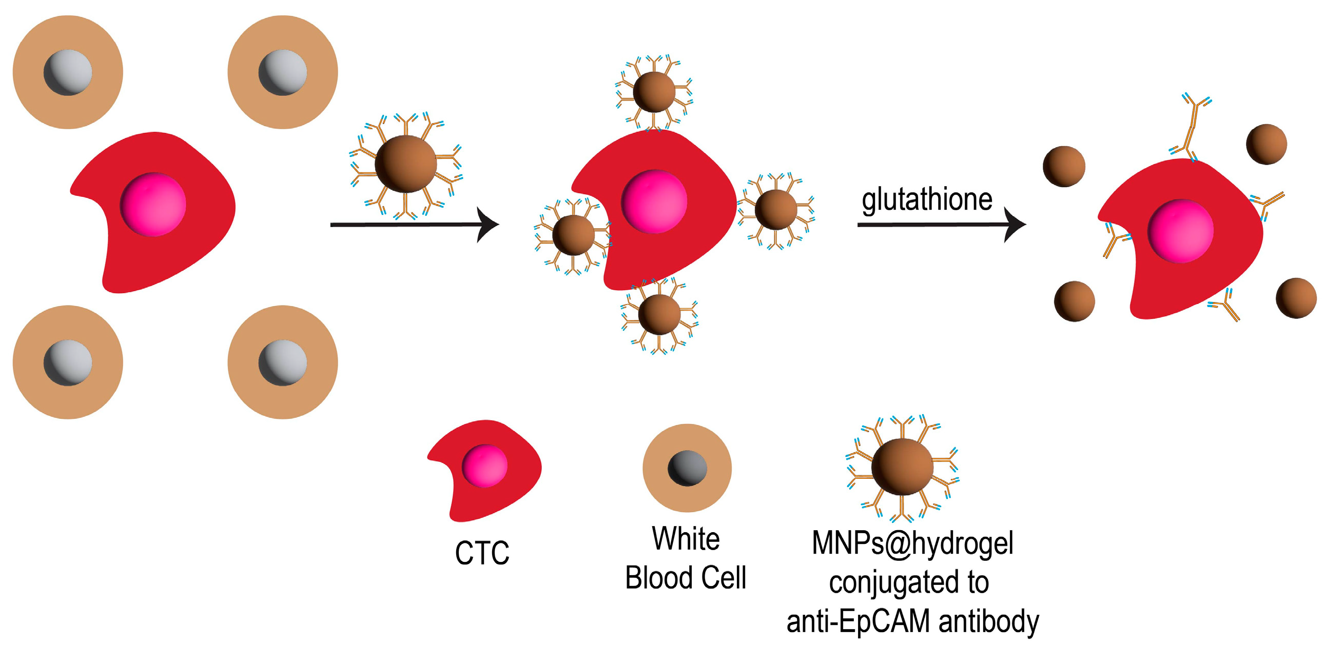 Pharmaceutics 15 02482 g002